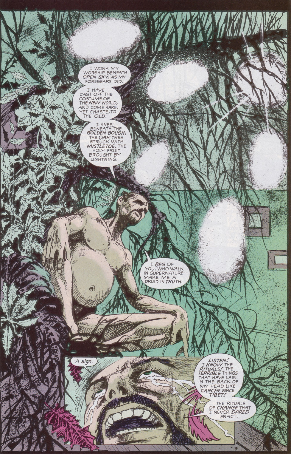 Read online Druid comic -  Issue #1 - 14