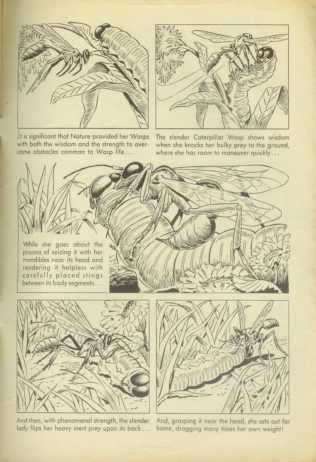 Read online Four Color Comics comic -  Issue #749 - 35