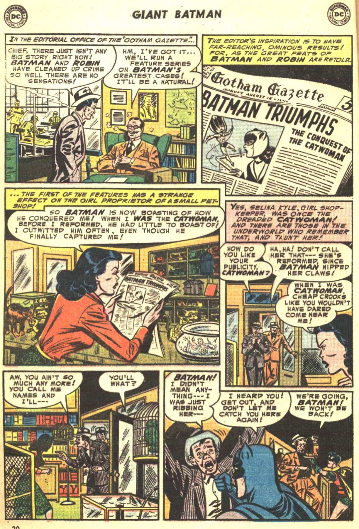 Read online Batman (1940) comic -  Issue #208 - 19