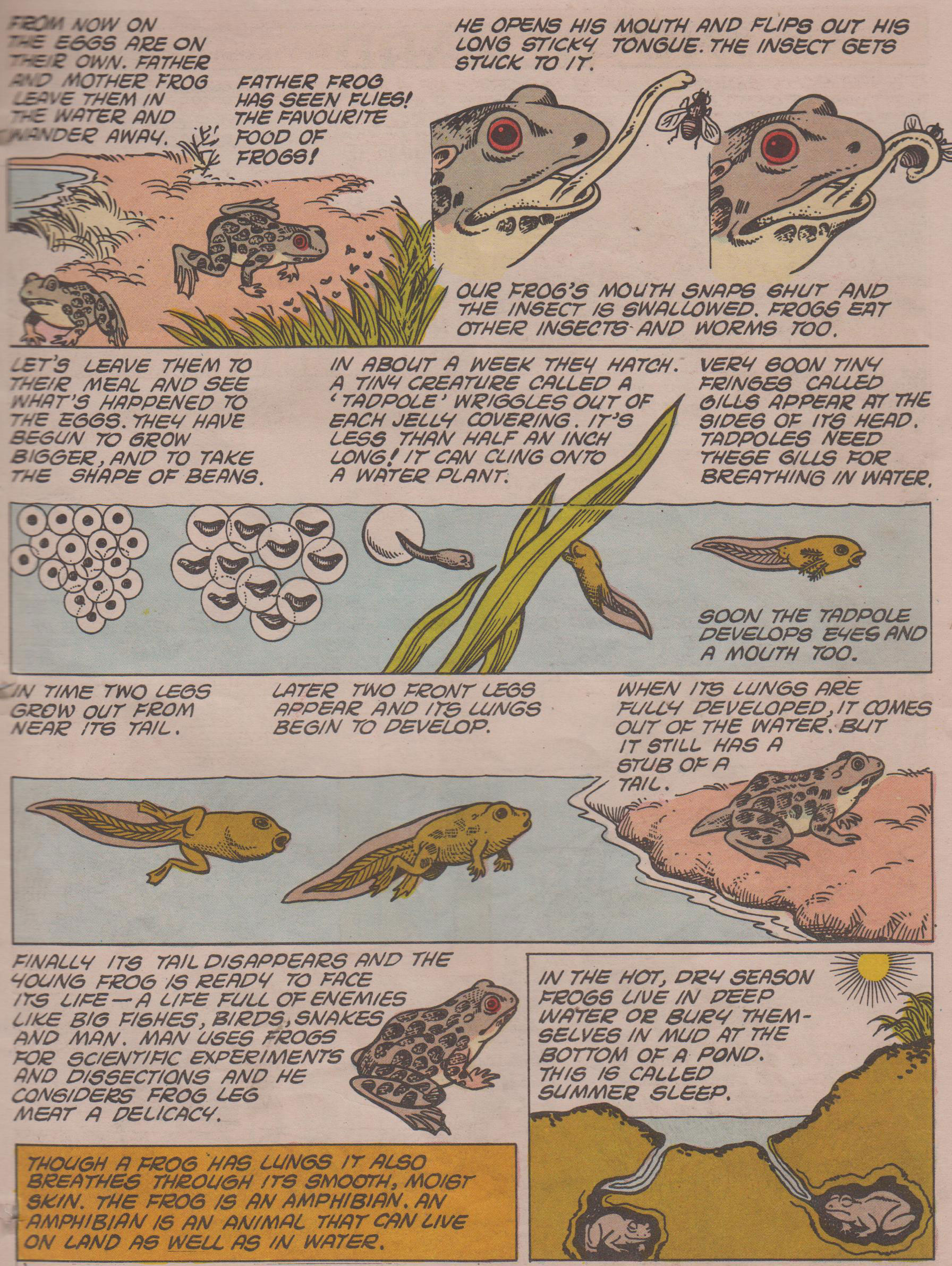 Read online Tinkle comic -  Issue #20 - 21