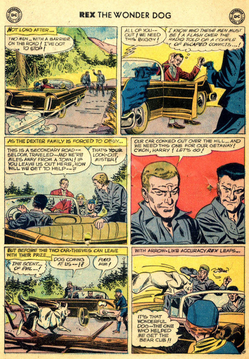 Read online The Adventures of Rex the Wonder Dog comic -  Issue #45 - 30