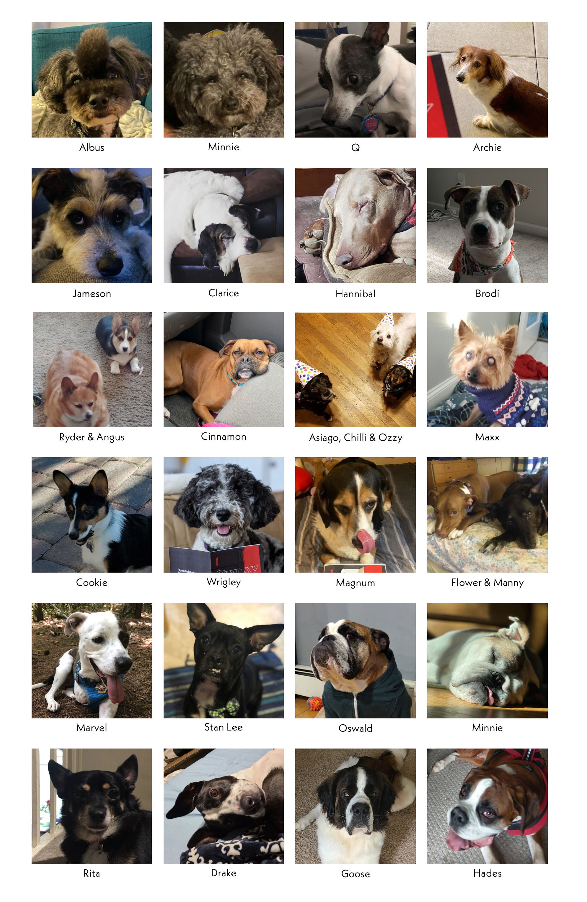 Read online Stray Dogs comic -  Issue #3 - 27