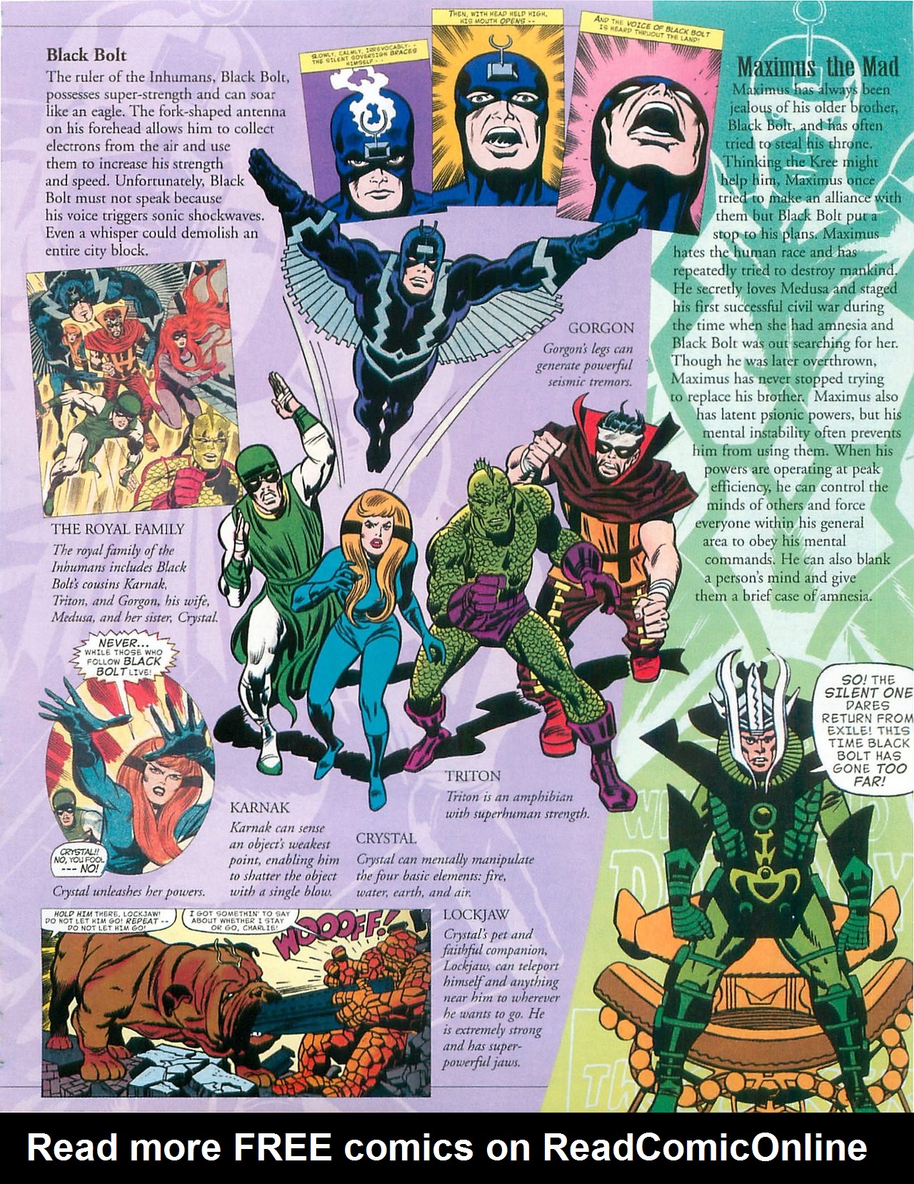 Read online Fantastic Four: The Universal Guide comic -  Issue # Full - 51
