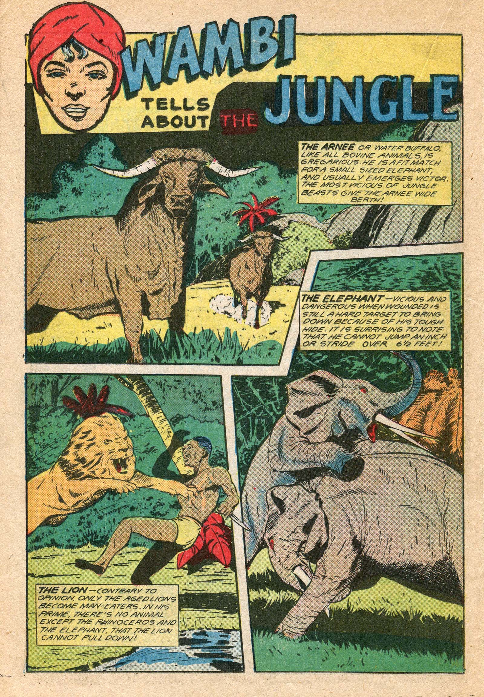 Read online Wambi Jungle Boy comic -  Issue #7 - 28