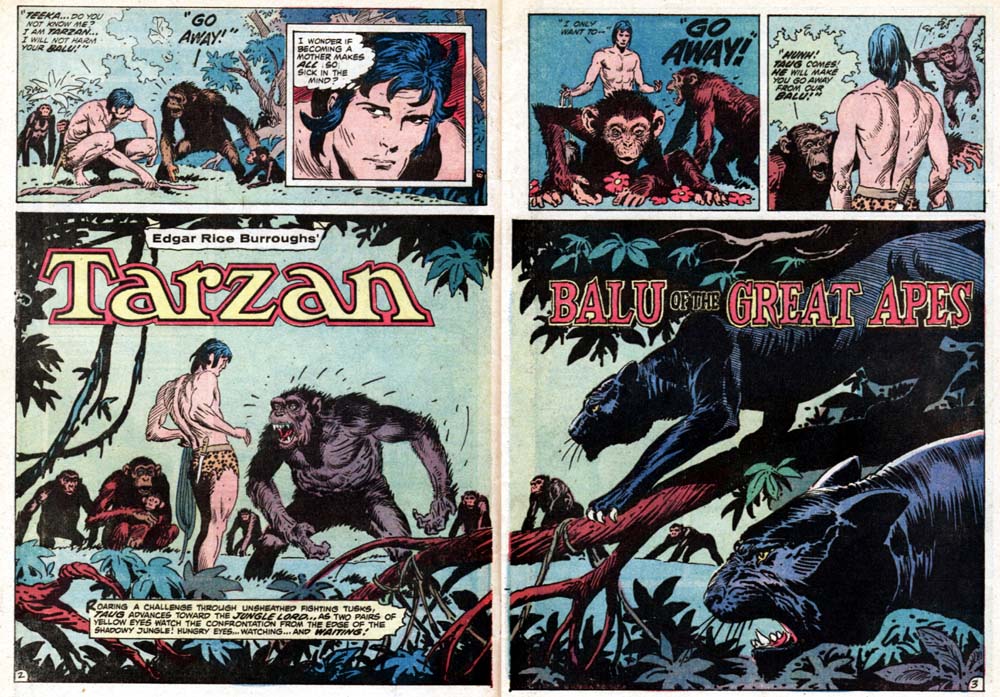 Read online Tarzan (1972) comic -  Issue #213 - 3