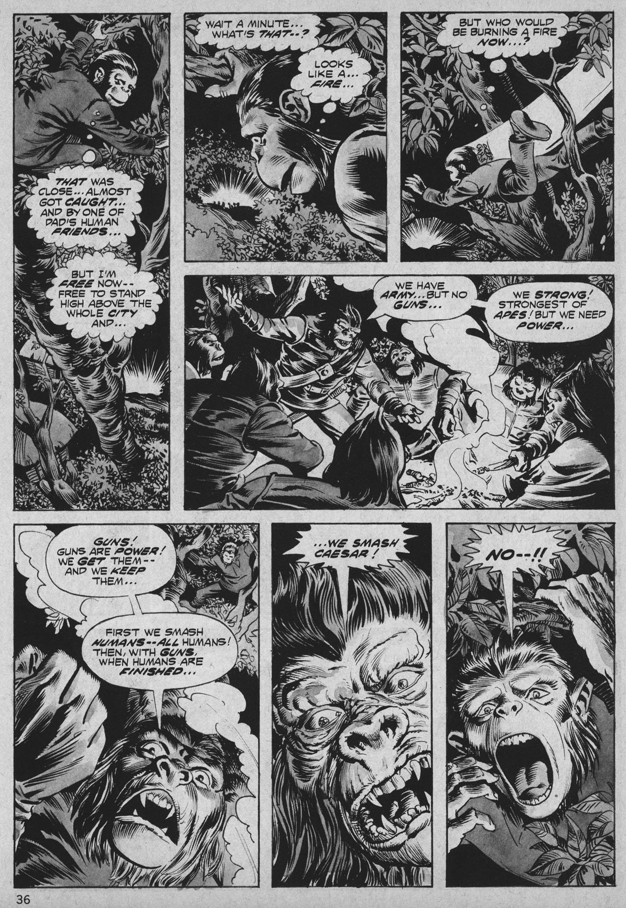 Read online Planet of the Apes comic -  Issue #25 - 35