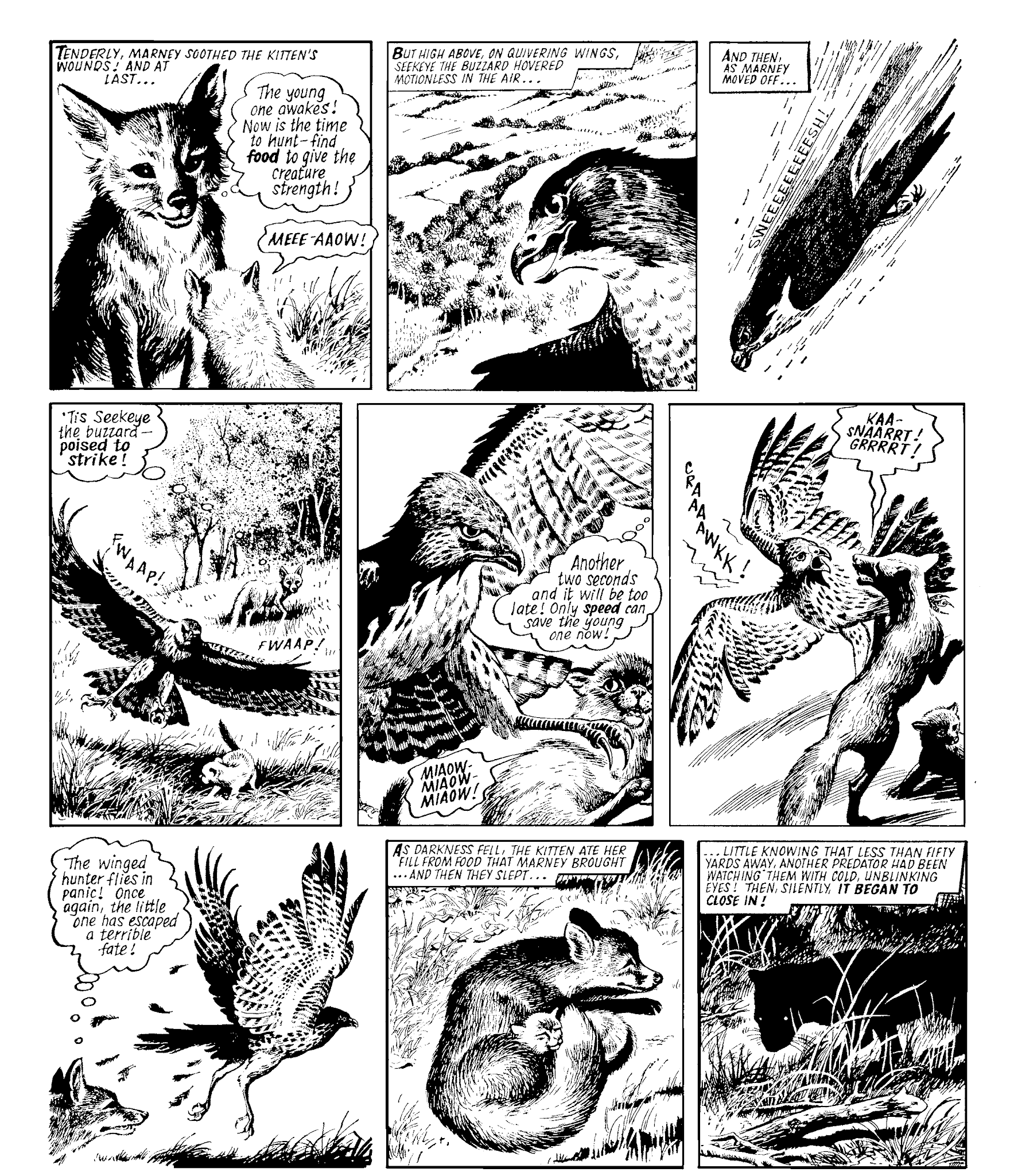 Read online Marney the Fox comic -  Issue # TPB (Part 2) - 13