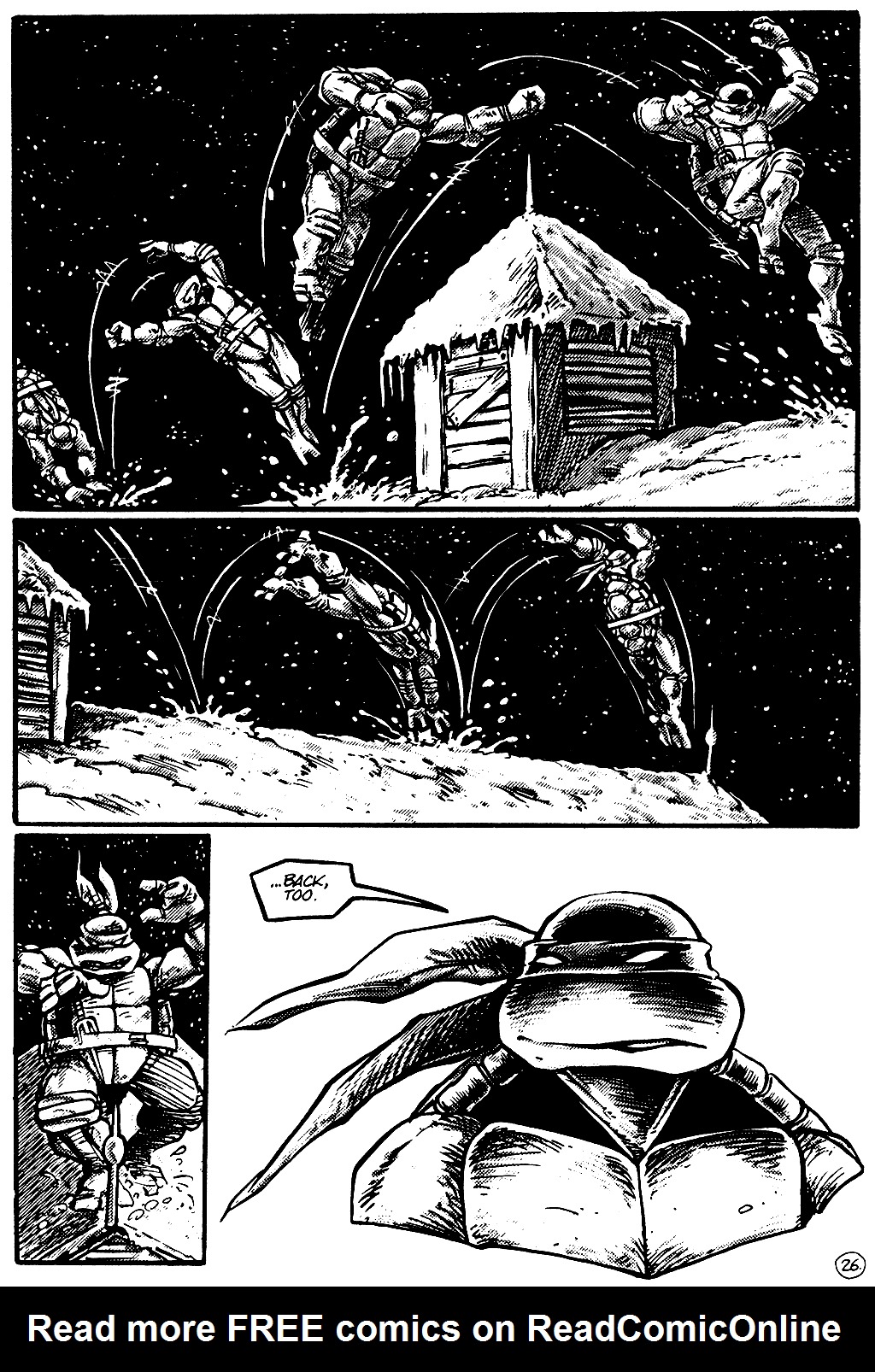 Teenage Mutant Ninja Turtles (1984) Issue #11 #11 - English 27