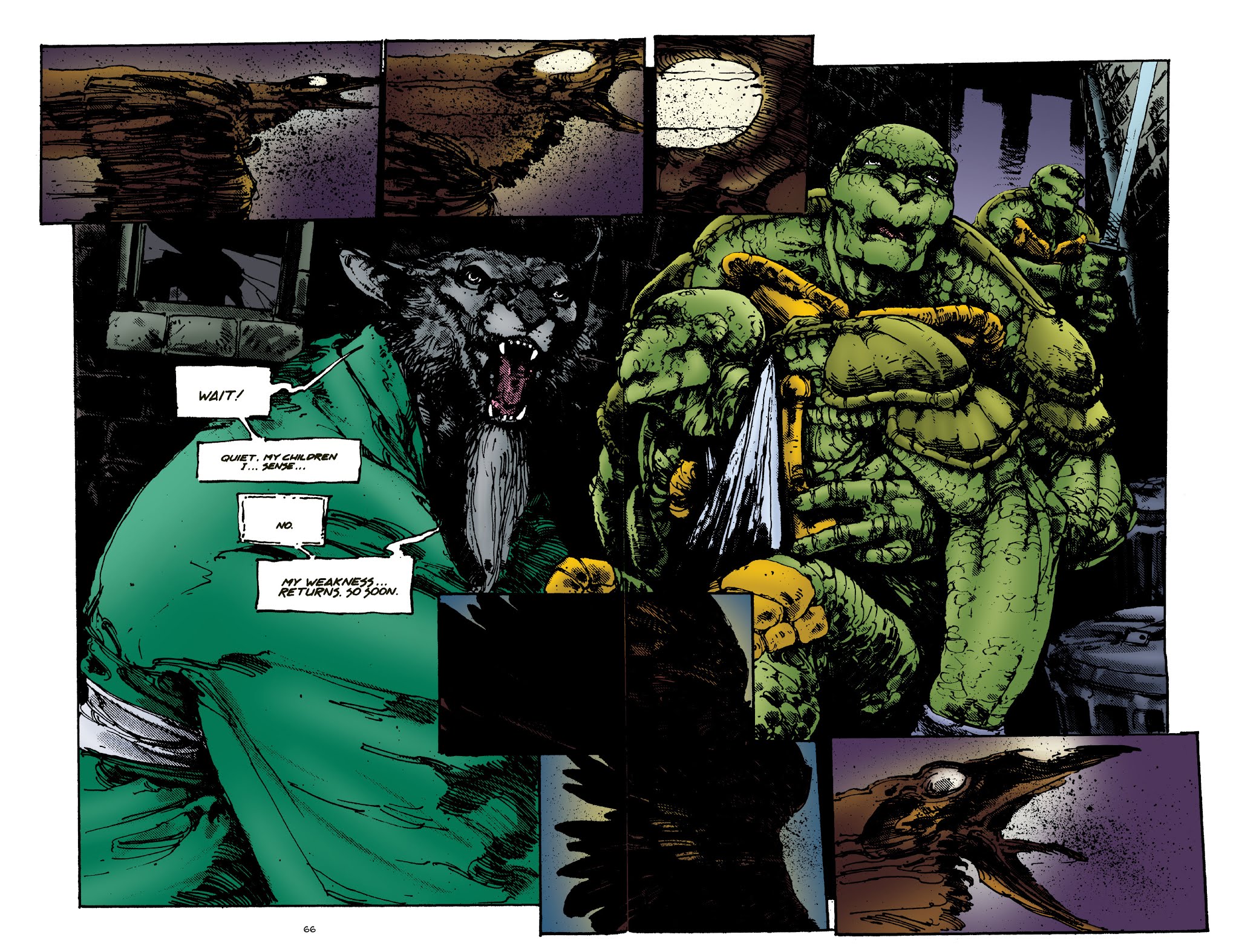 Read online Teenage Mutant Ninja Turtles Legends: Soul's Winter By Michael Zulli comic -  Issue # TPB - 61