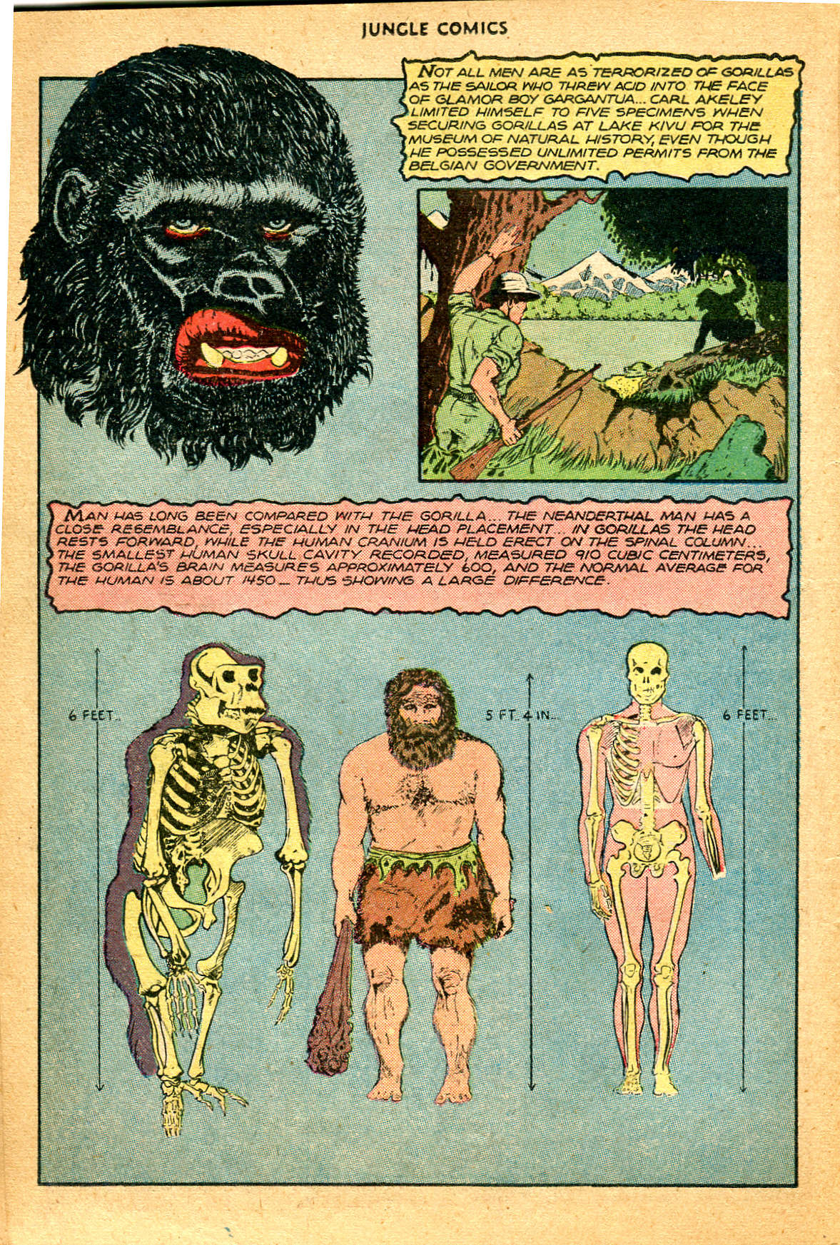 Read online Jungle Comics comic -  Issue #89 - 20