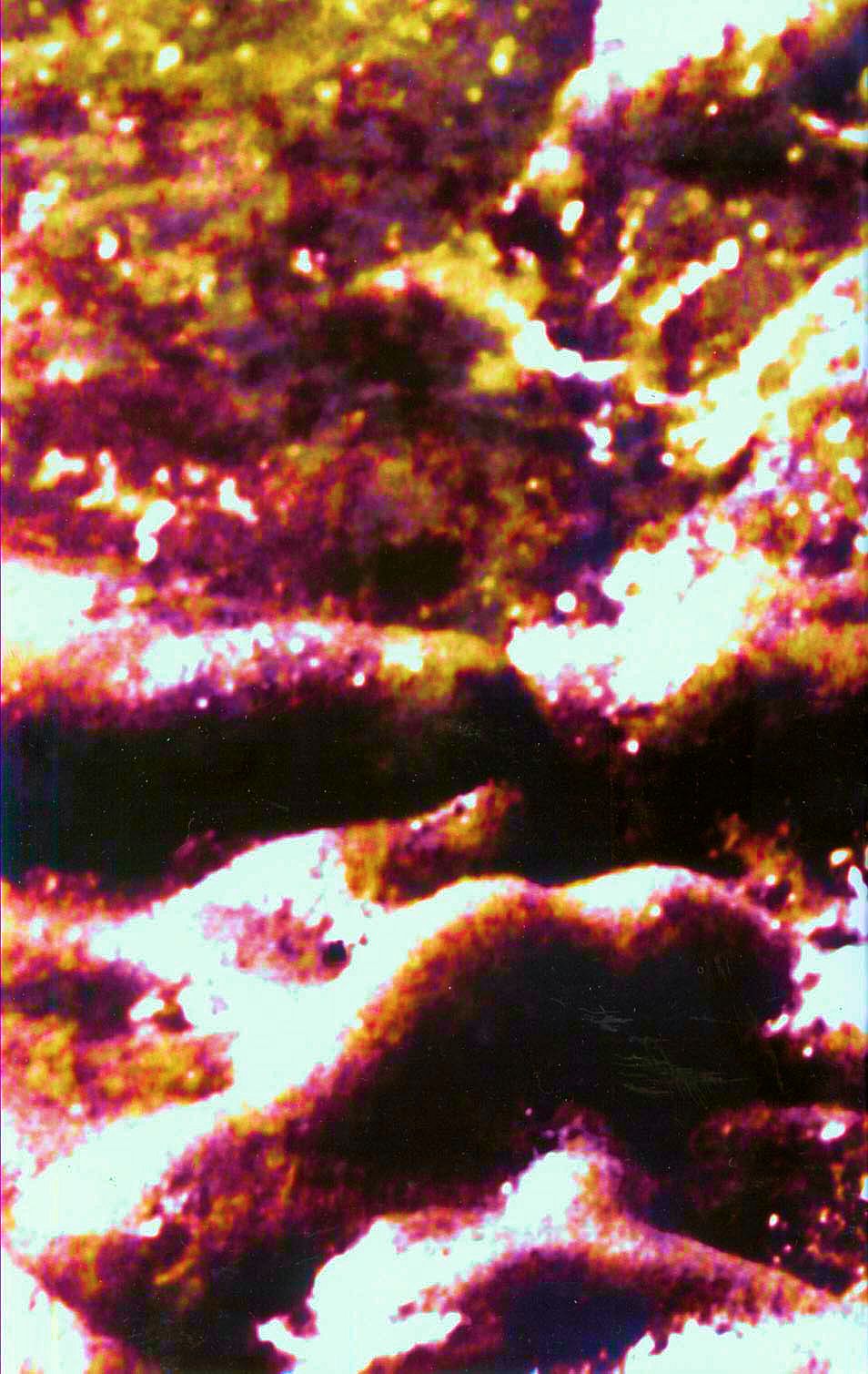 Read online Overkill: Witchblade/Aliens/Darkness/Predator comic -  Issue #1 - 2