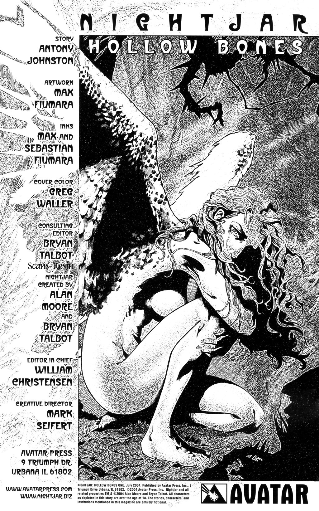 Read online Nightjar: Hollow Bones comic -  Issue # Full - 2