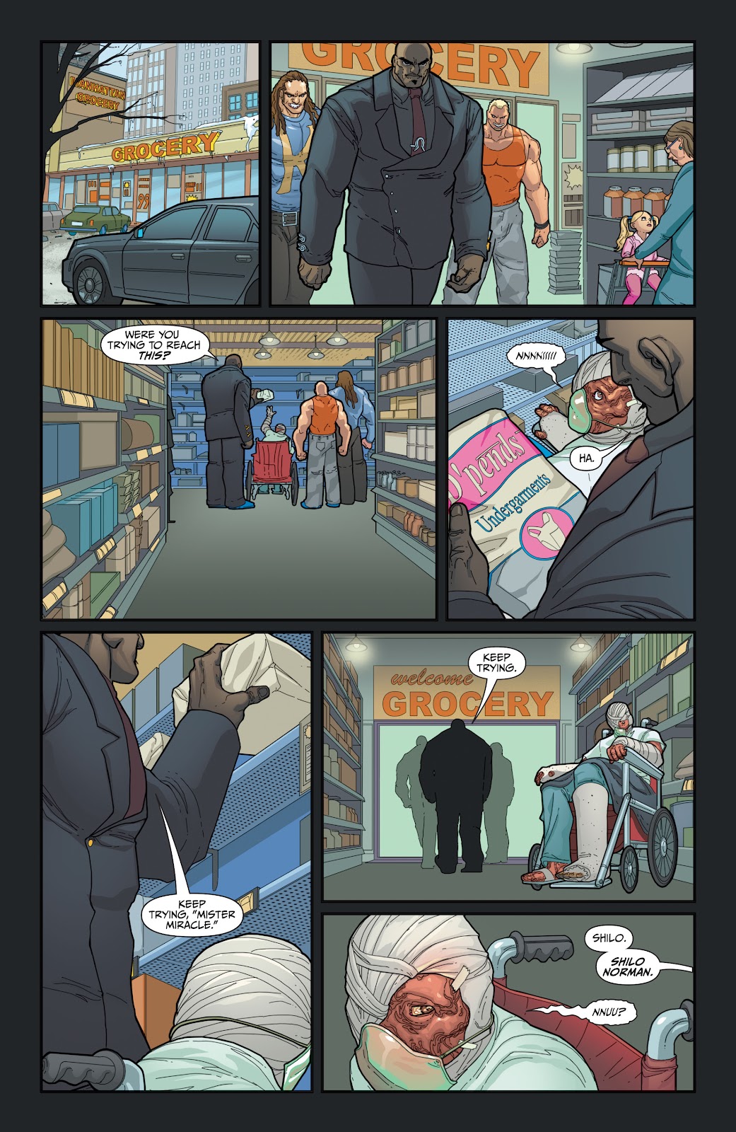 Seven Soldiers of Victory issue TPB 2 (Part 3) - Page 19