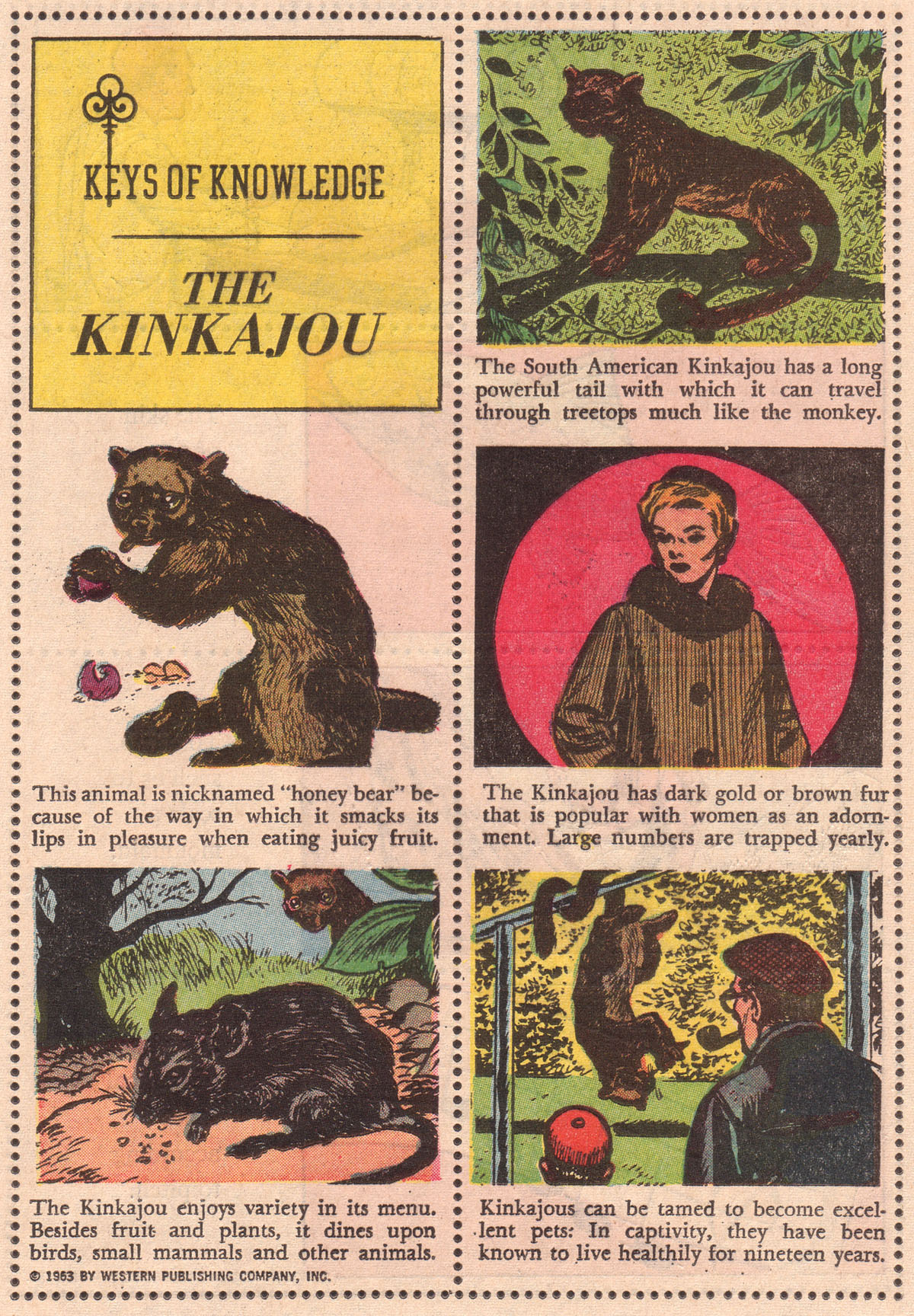 Read online The Jetsons (1963) comic -  Issue #26 - 17