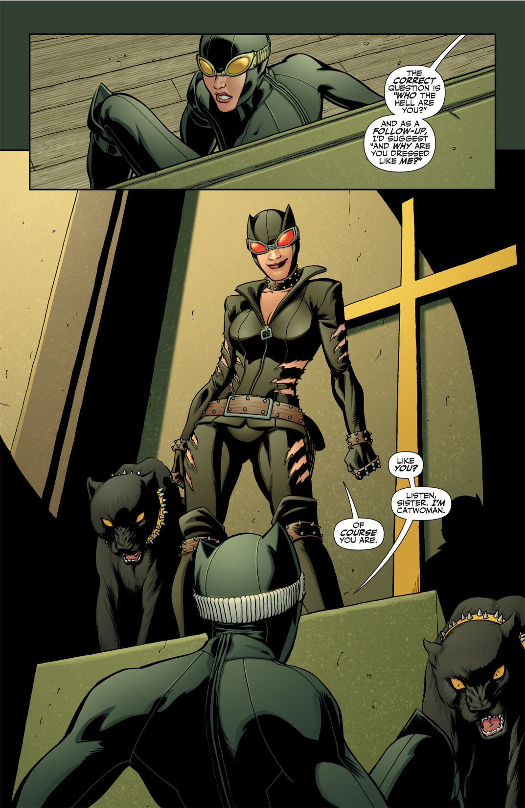 Read online Catwoman (2002) comic -  Issue #76 - 10