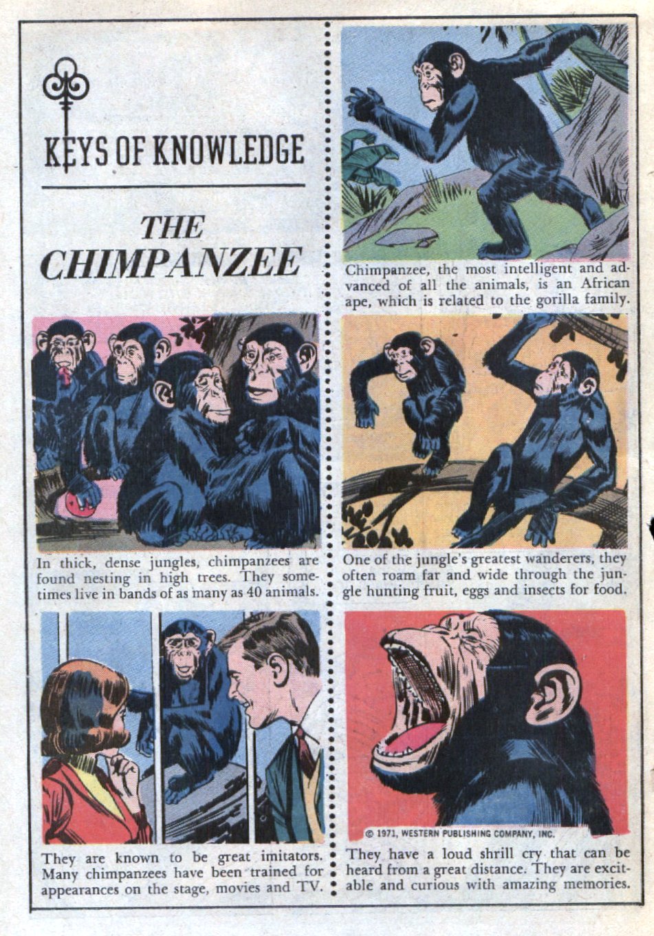 Read online Grimm's Ghost Stories comic -  Issue #1 - 18