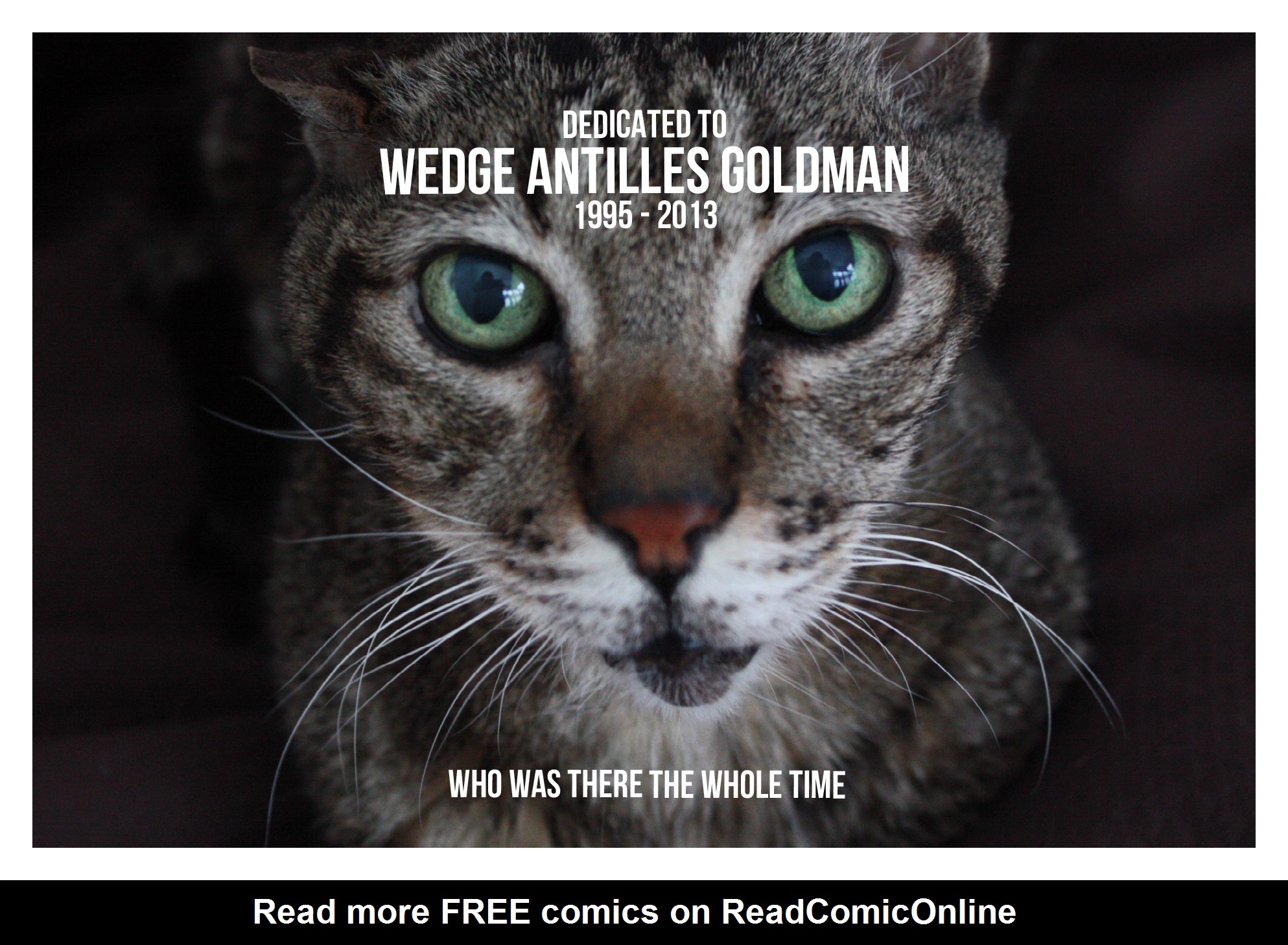 Read online Red Light Properties comic -  Issue # TPB - 196