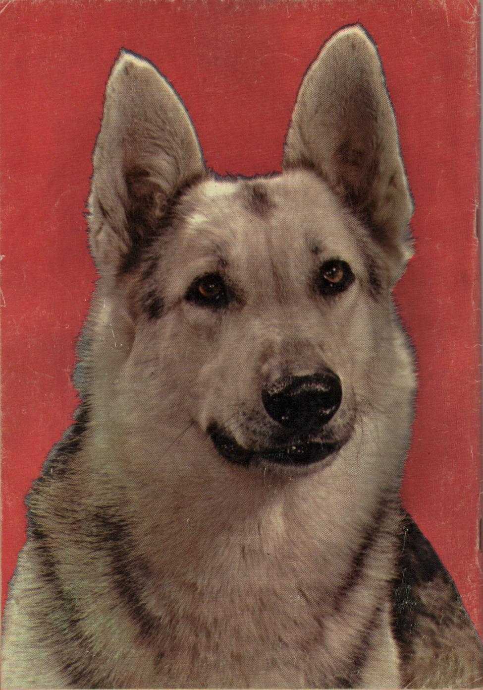 Read online Four Color Comics comic -  Issue #476 - 36