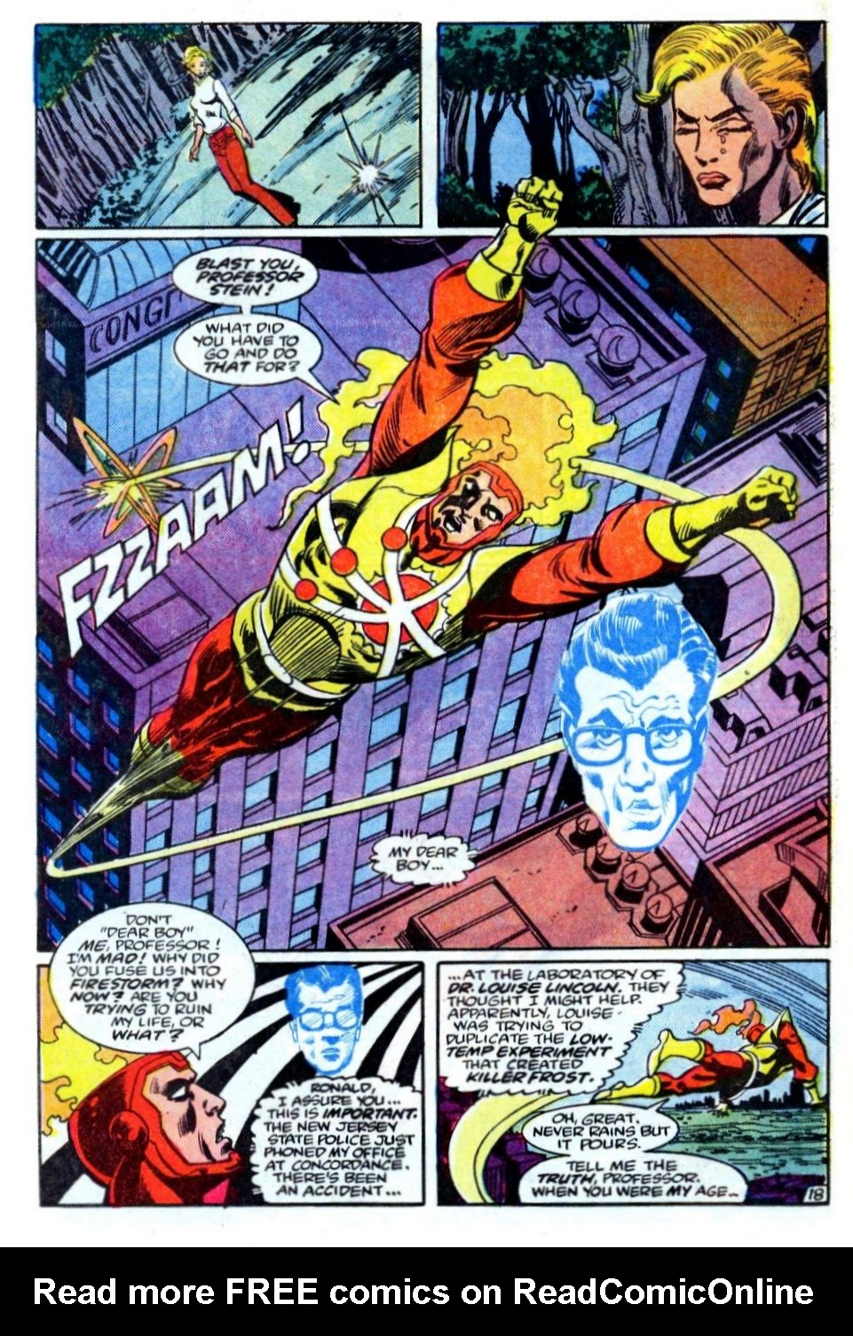 The Fury of Firestorm Issue #34 #38 - English 19