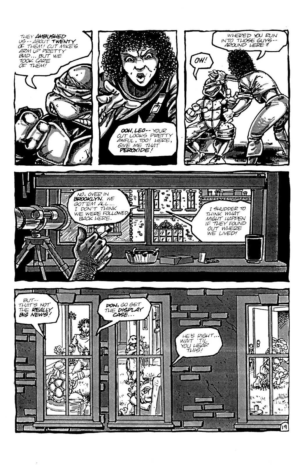Teenage Mutant Ninja Turtles (1984) Issue #4 #4 - English 19