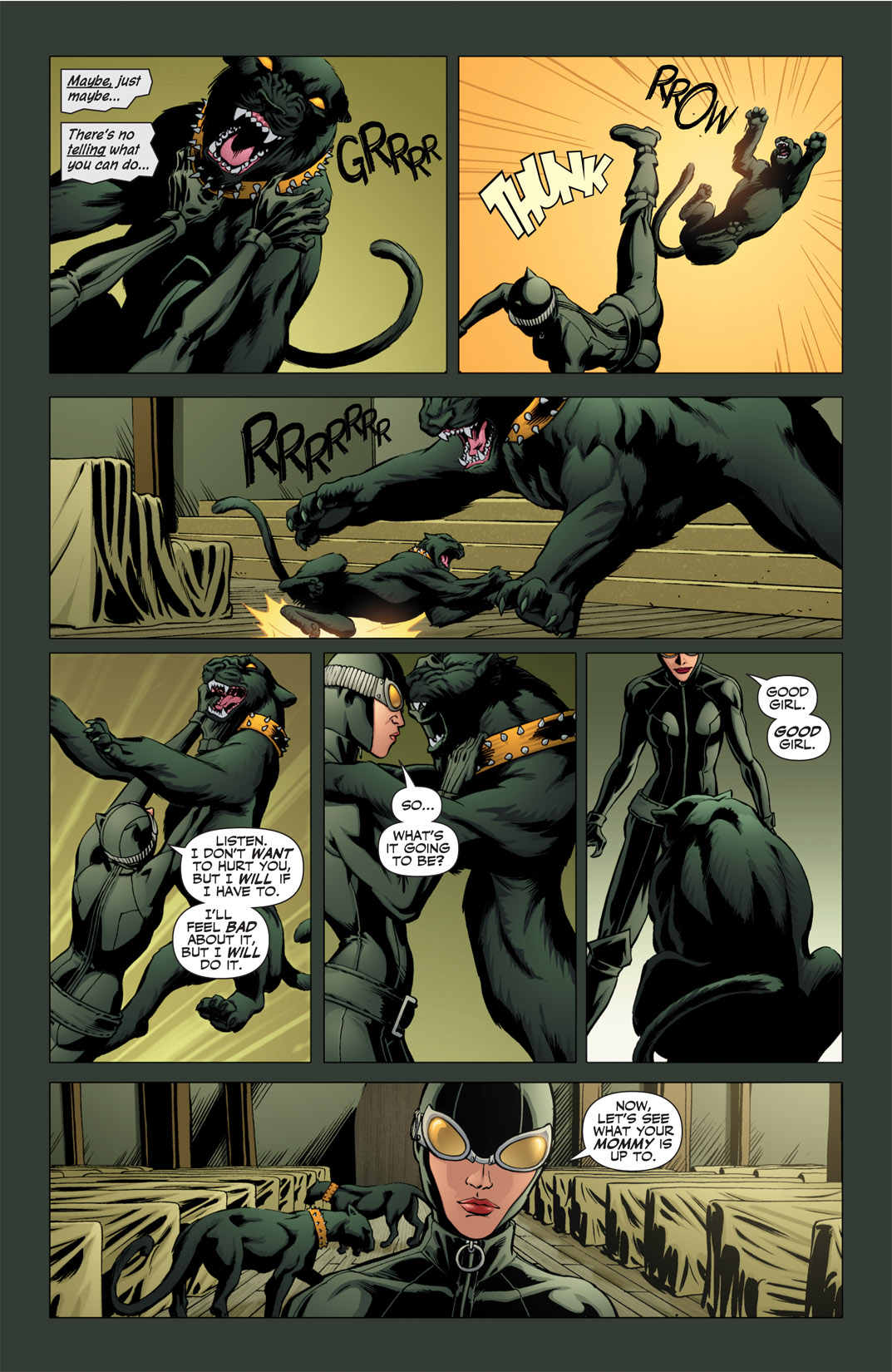 Read online Catwoman (2002) comic -  Issue #76 - 13