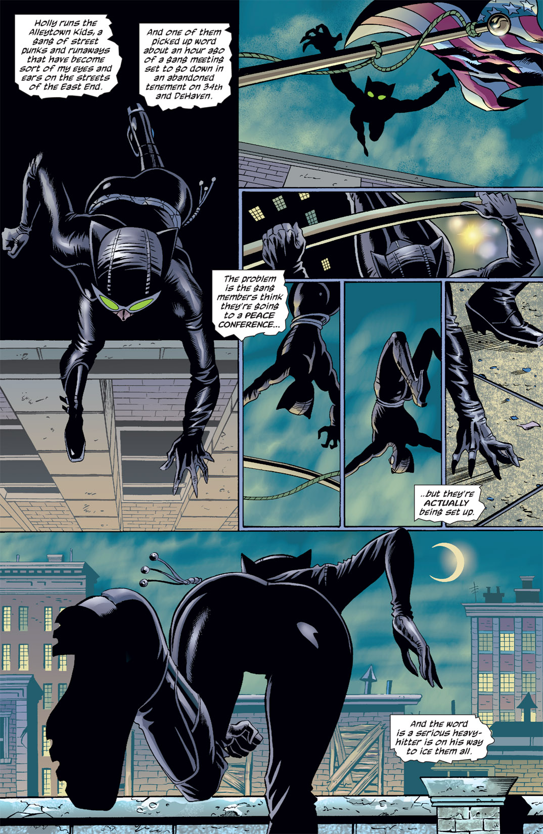 Read online Catwoman (2002) comic -  Issue #34 - 12