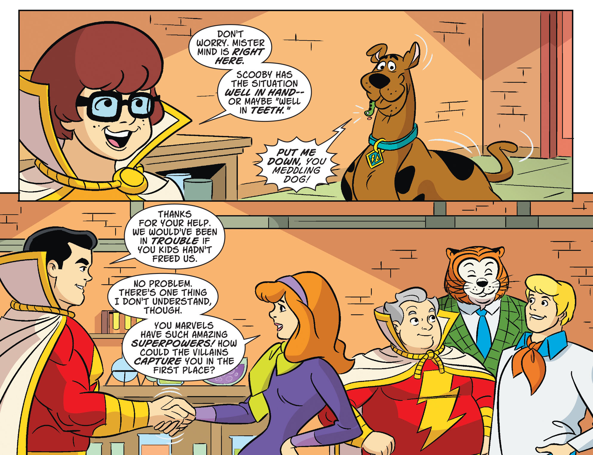 Read online Scooby-Doo! Team-Up comic -  Issue #32 - 20