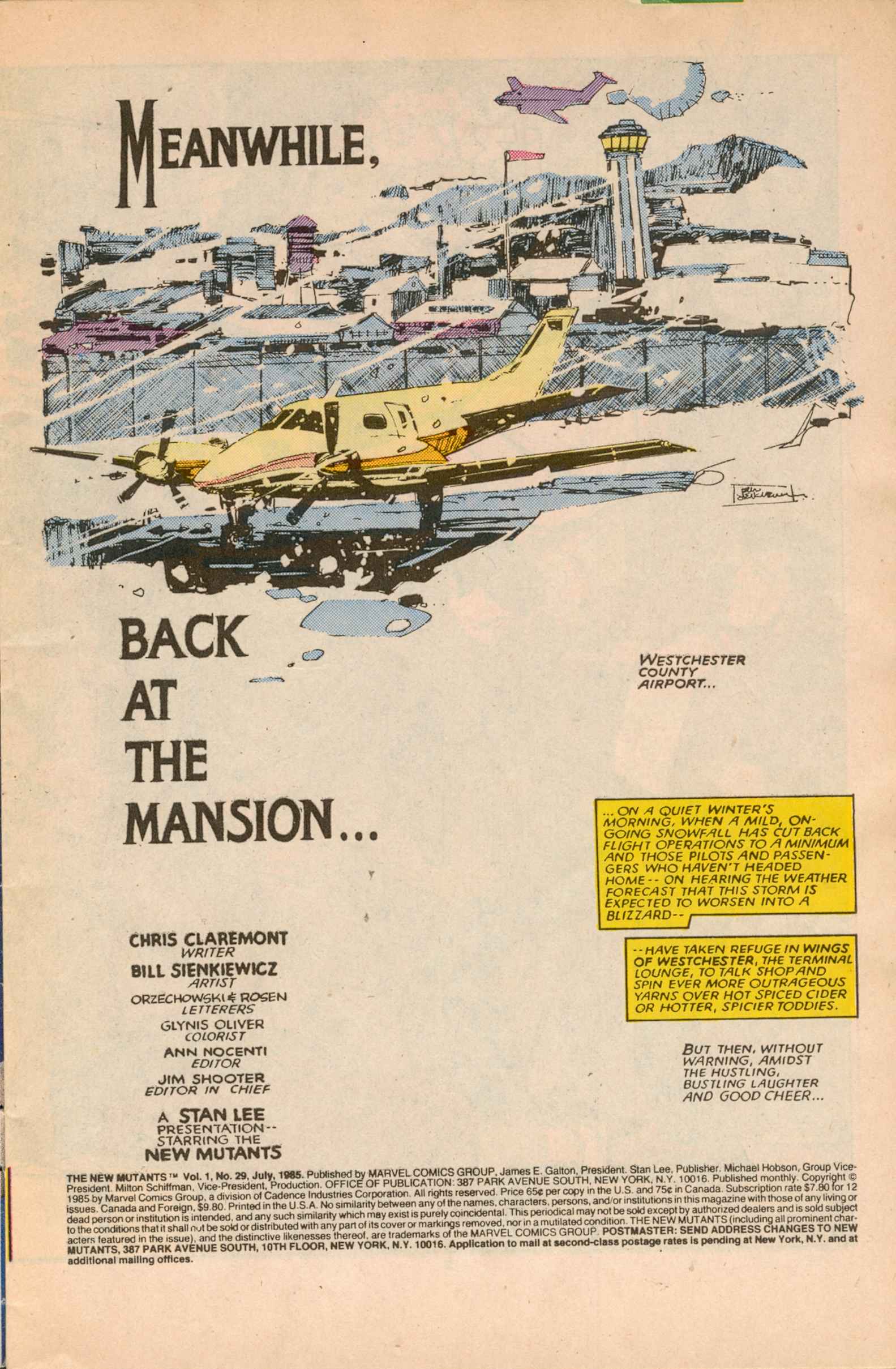 Read online The New Mutants comic -  Issue #29 - 2