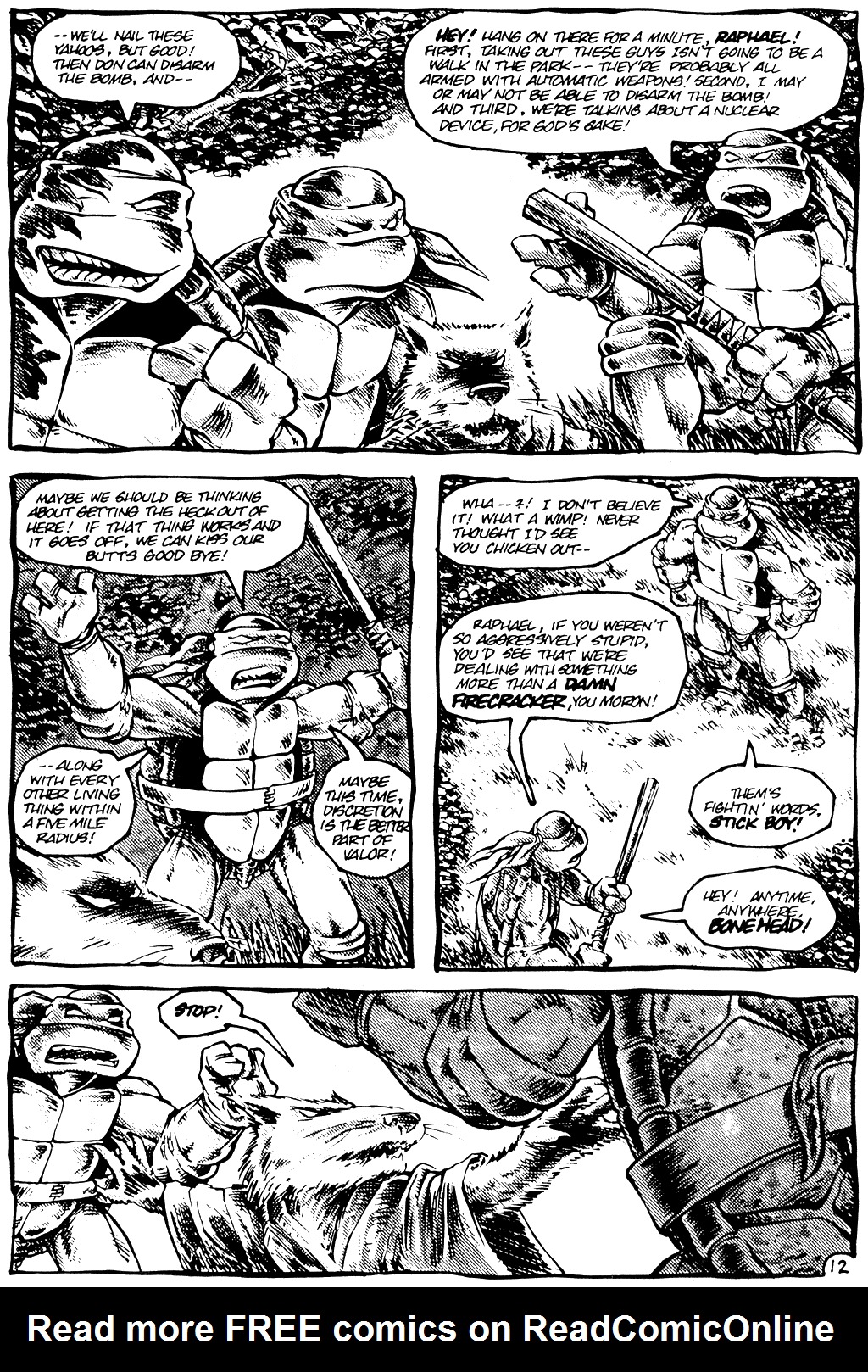 Read online Teenage Mutant Ninja Turtles (1984) comic -  Issue #12 - 13