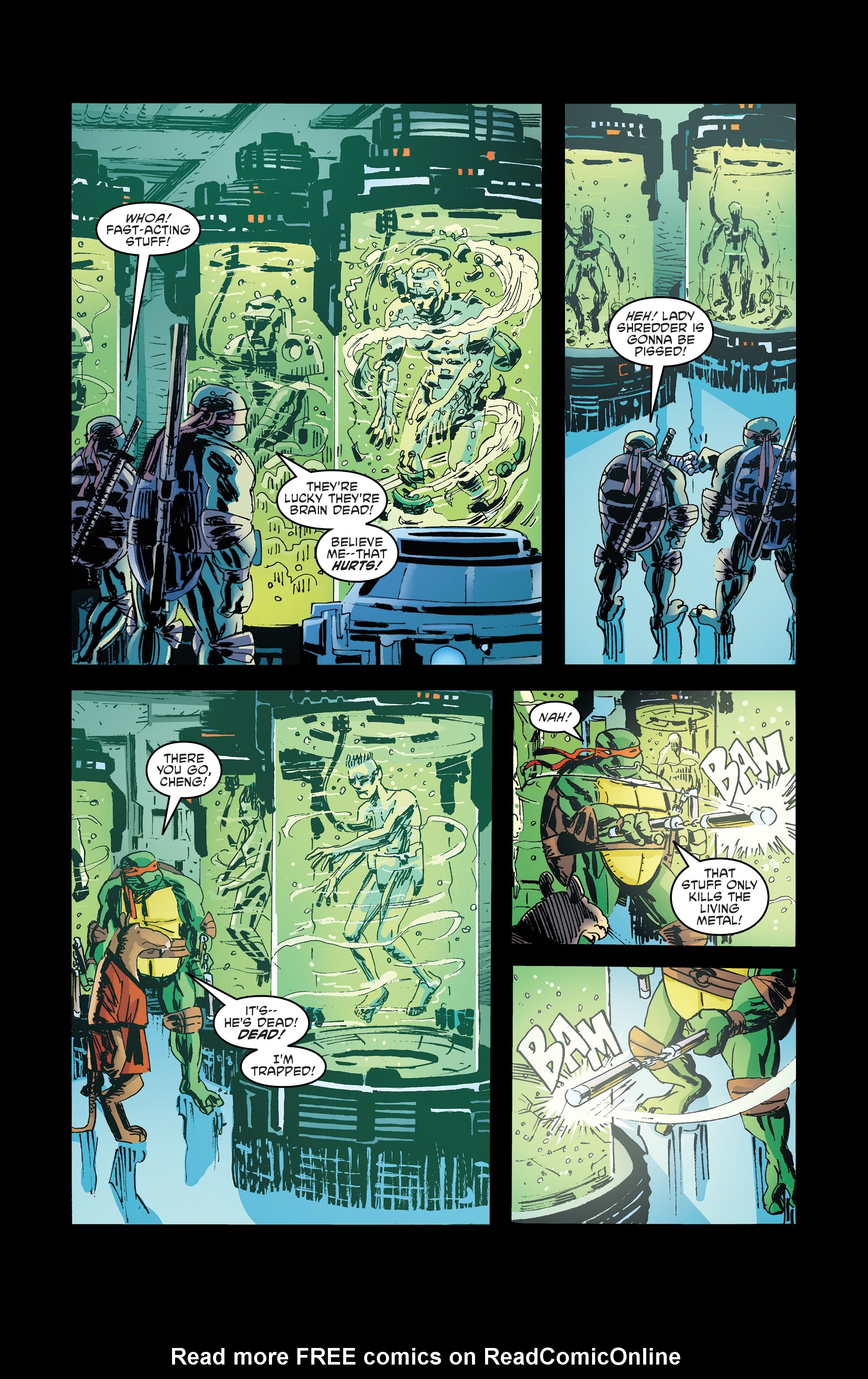 Read online Teenage Mutant Ninja Turtles: Urban Legends comic -  Issue #26 - 11