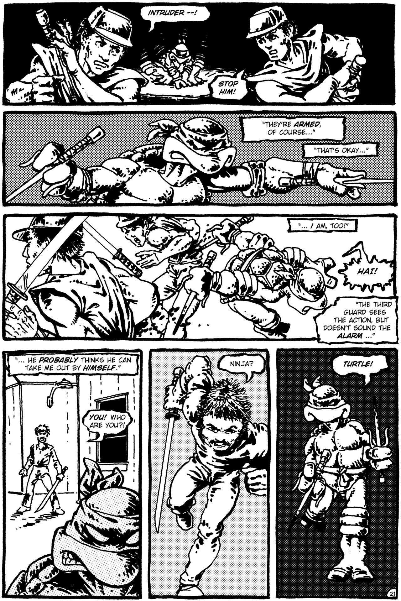 Teenage Mutant Ninja Turtles (1984) Issue #1 #1 - English 22