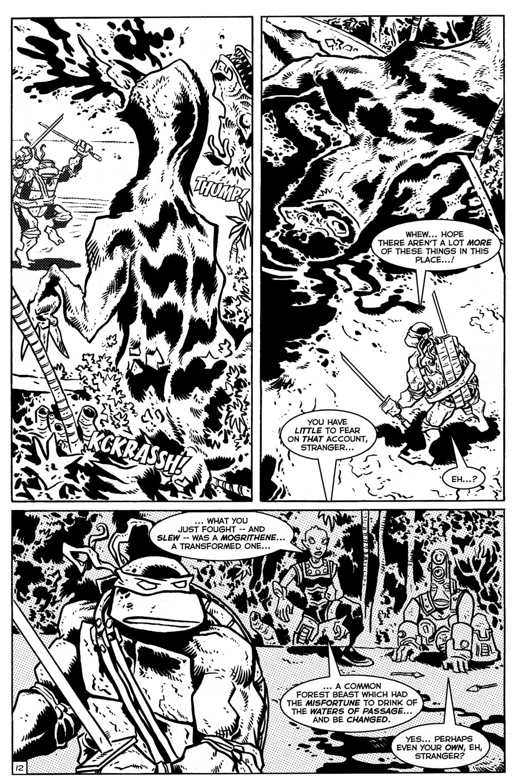 Read online TMNT: Teenage Mutant Ninja Turtles comic -  Issue #28 - 13
