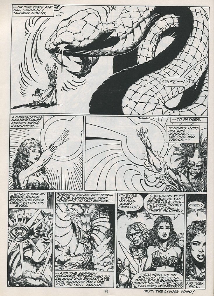 The Savage Sword Of Conan issue 215 - Page 28