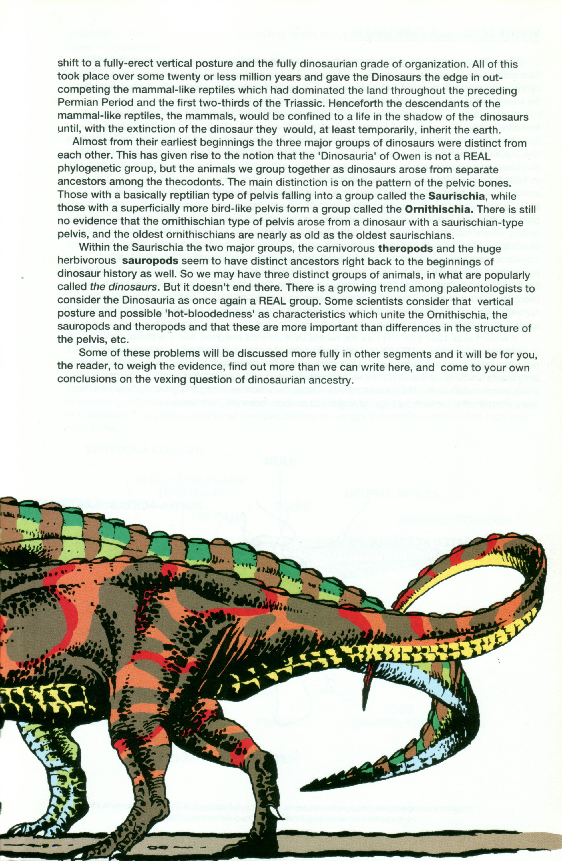 Read online Dinosaurs, A Celebration comic -  Issue #1 - 8