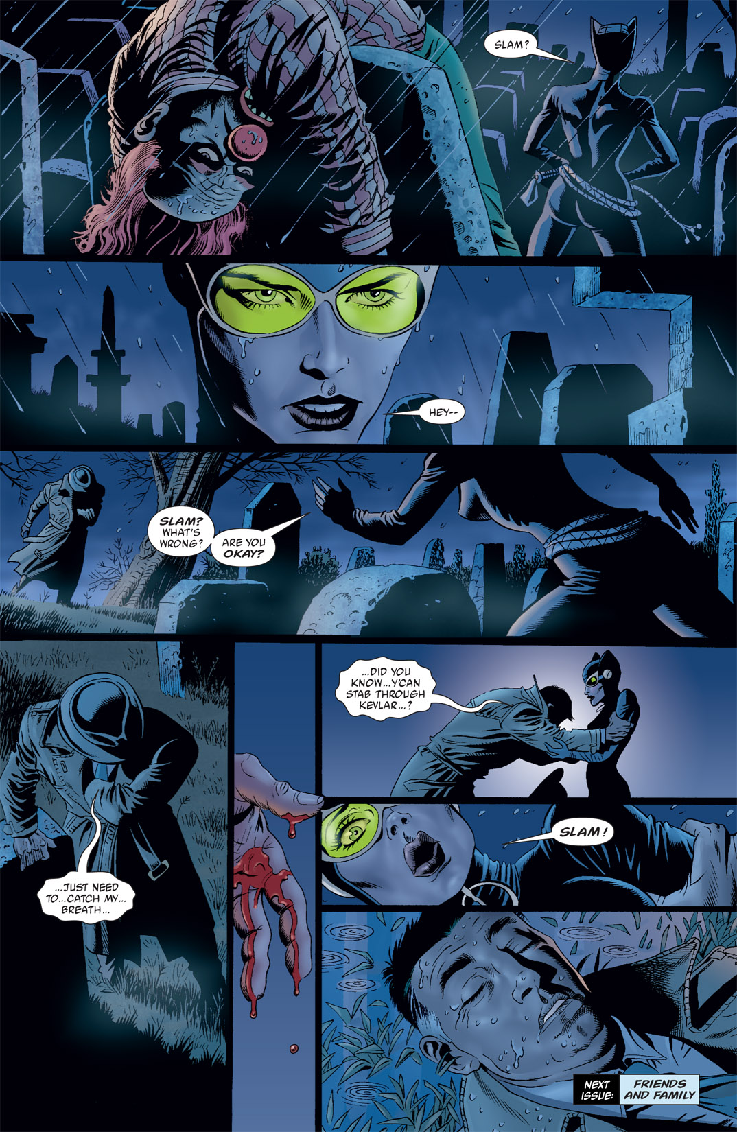 Read online Catwoman (2002) comic -  Issue #26 - 23