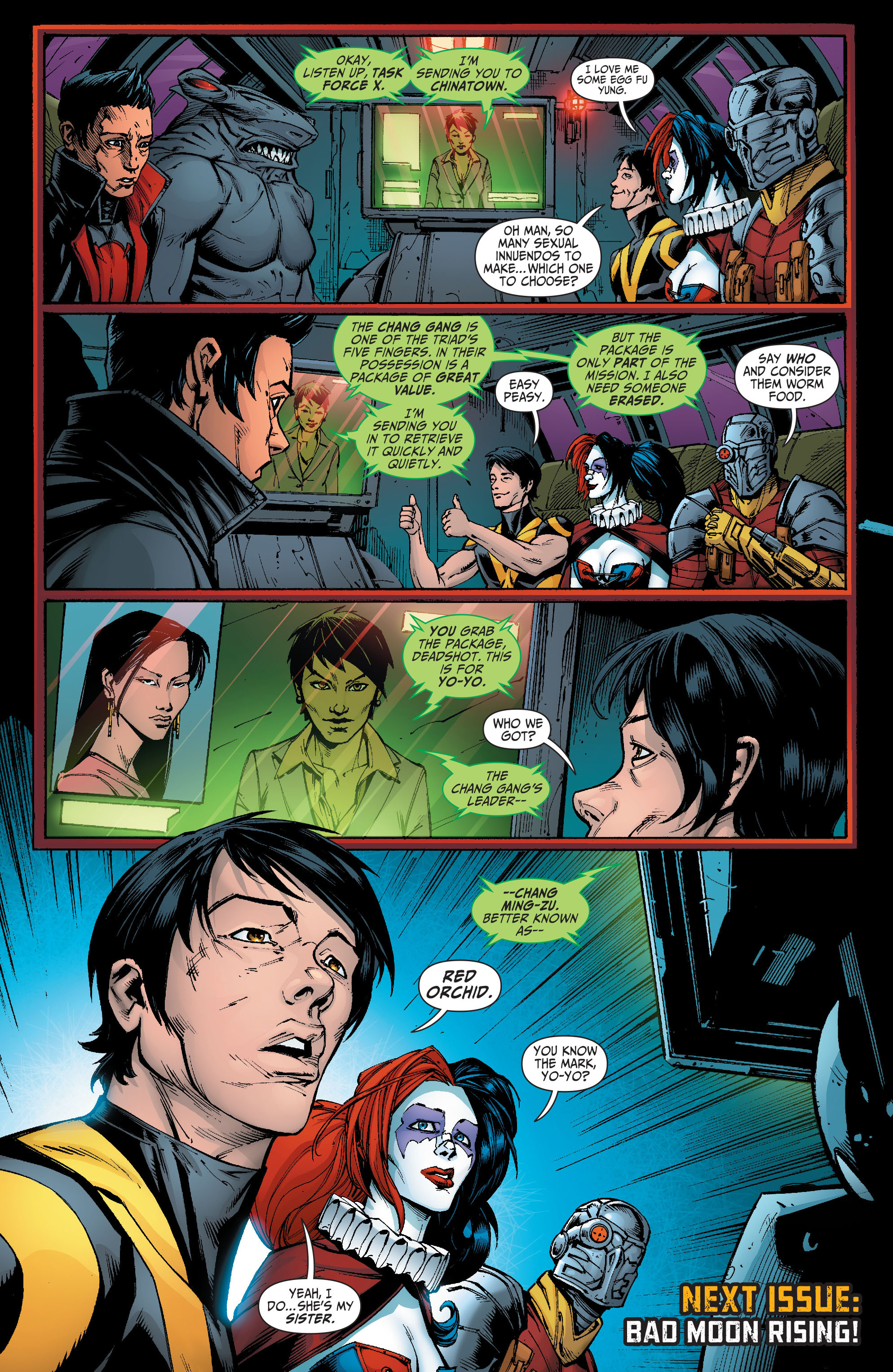 Read online Suicide Squad (2011) comic -  Issue #16 - 21