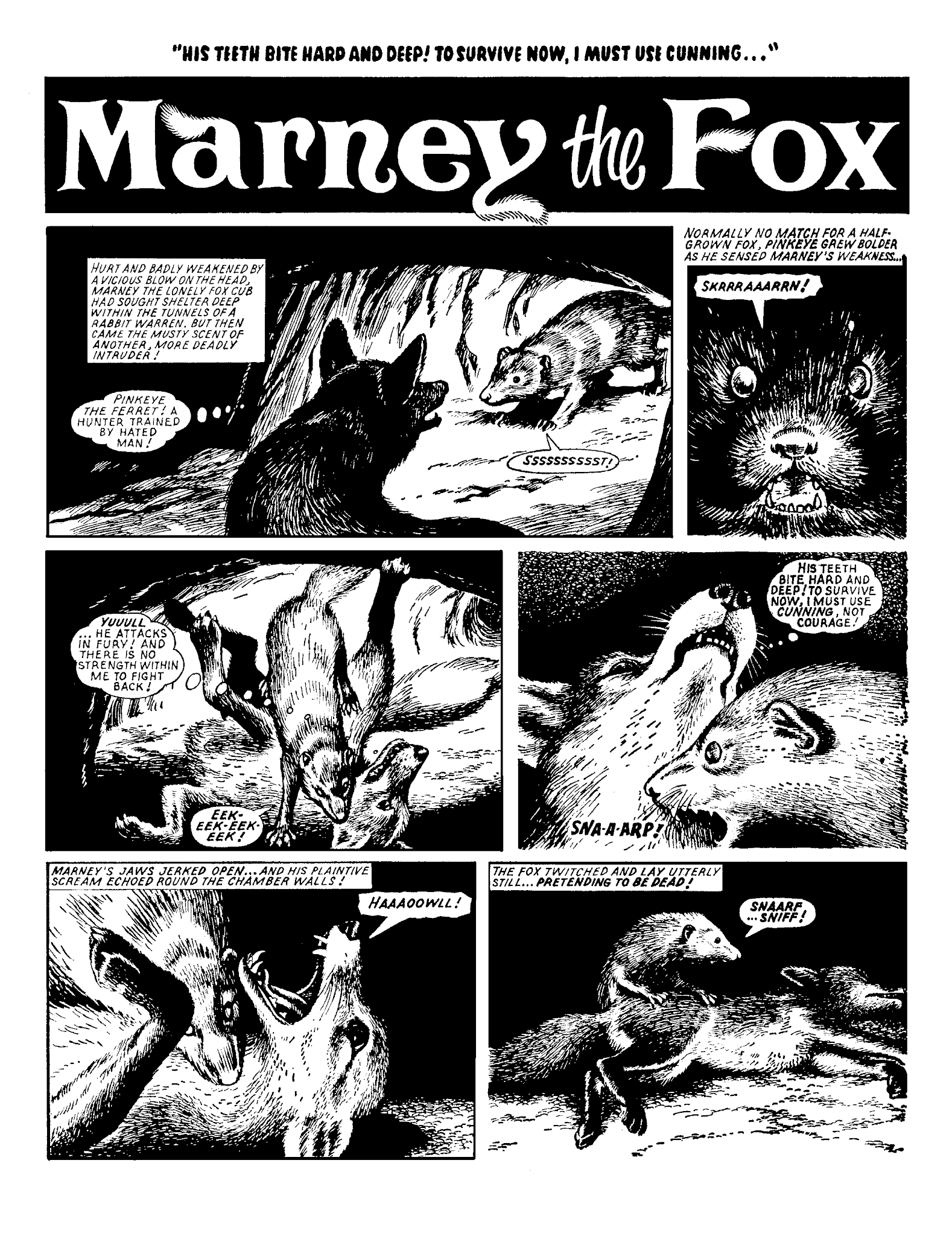 Read online Marney the Fox comic -  Issue # TPB (Part 2) - 30