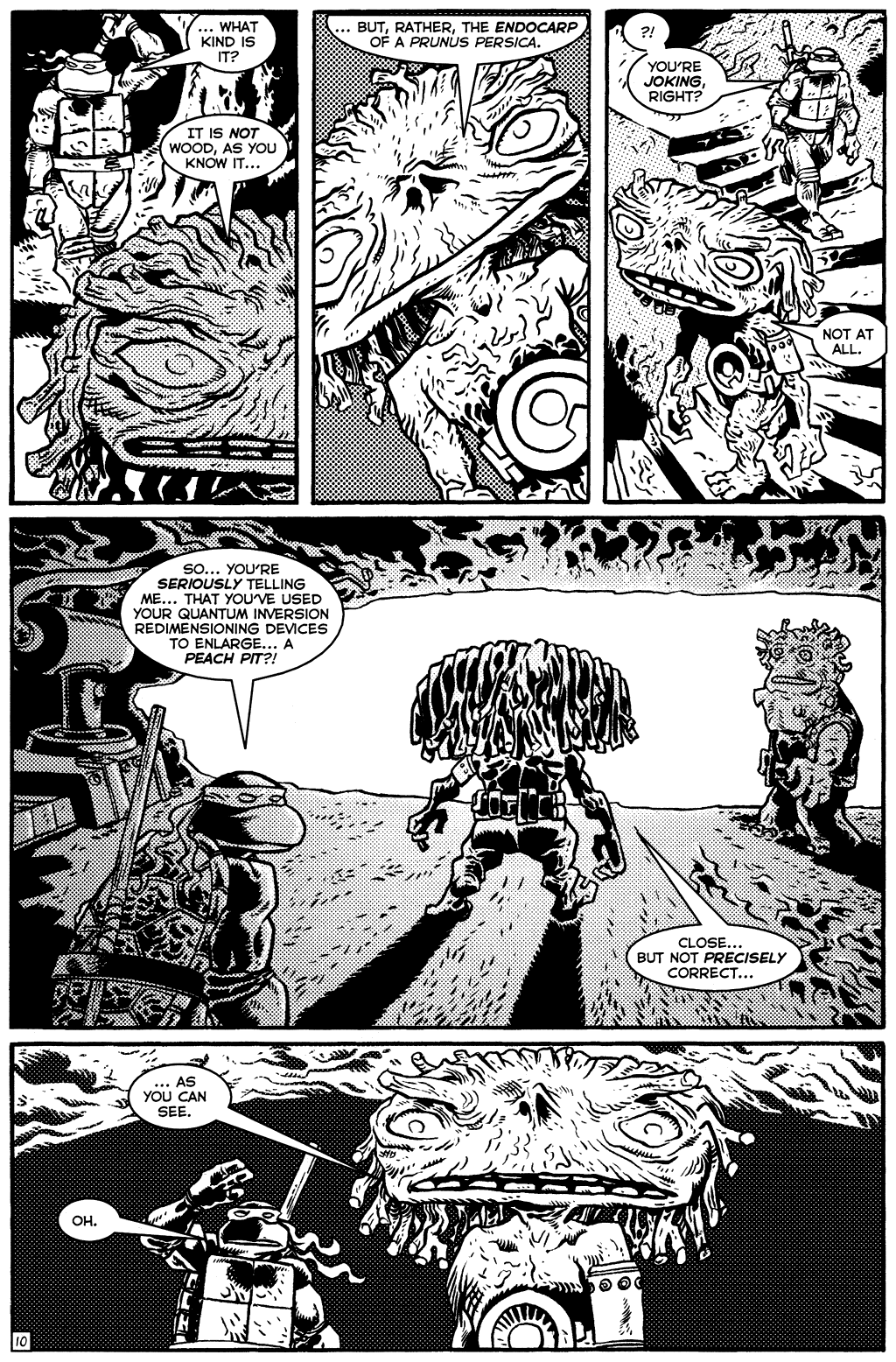 Read online TMNT: Teenage Mutant Ninja Turtles comic -  Issue #20 - 12