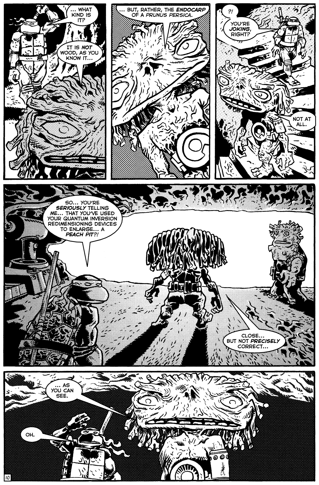 TMNT: Teenage Mutant Ninja Turtles issue 20 - Page 12