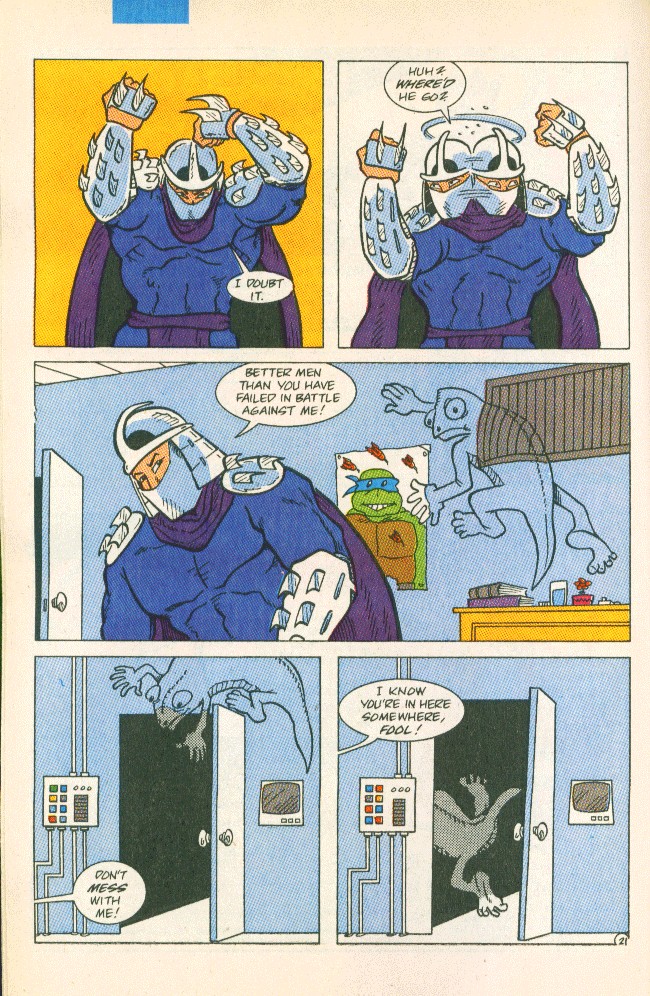 Read online Teenage Mutant Ninja Turtles Adventures (1989) comic -  Issue #9 - 22