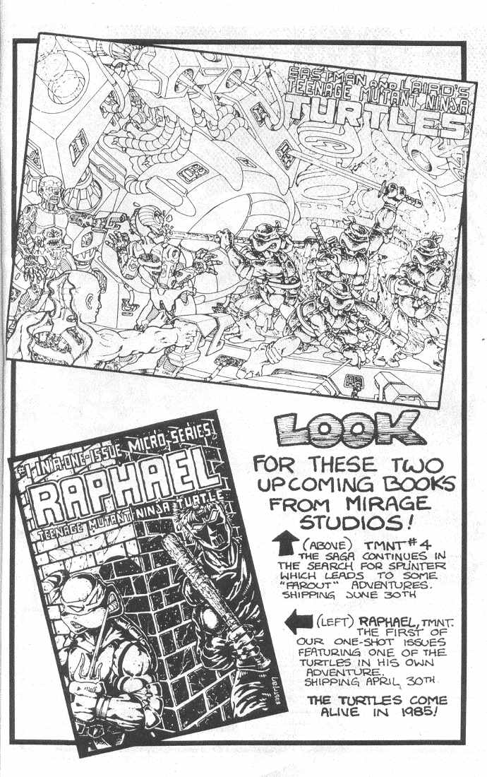 Teenage Mutant Ninja Turtles (1984) Issue #3 #3 - English 42