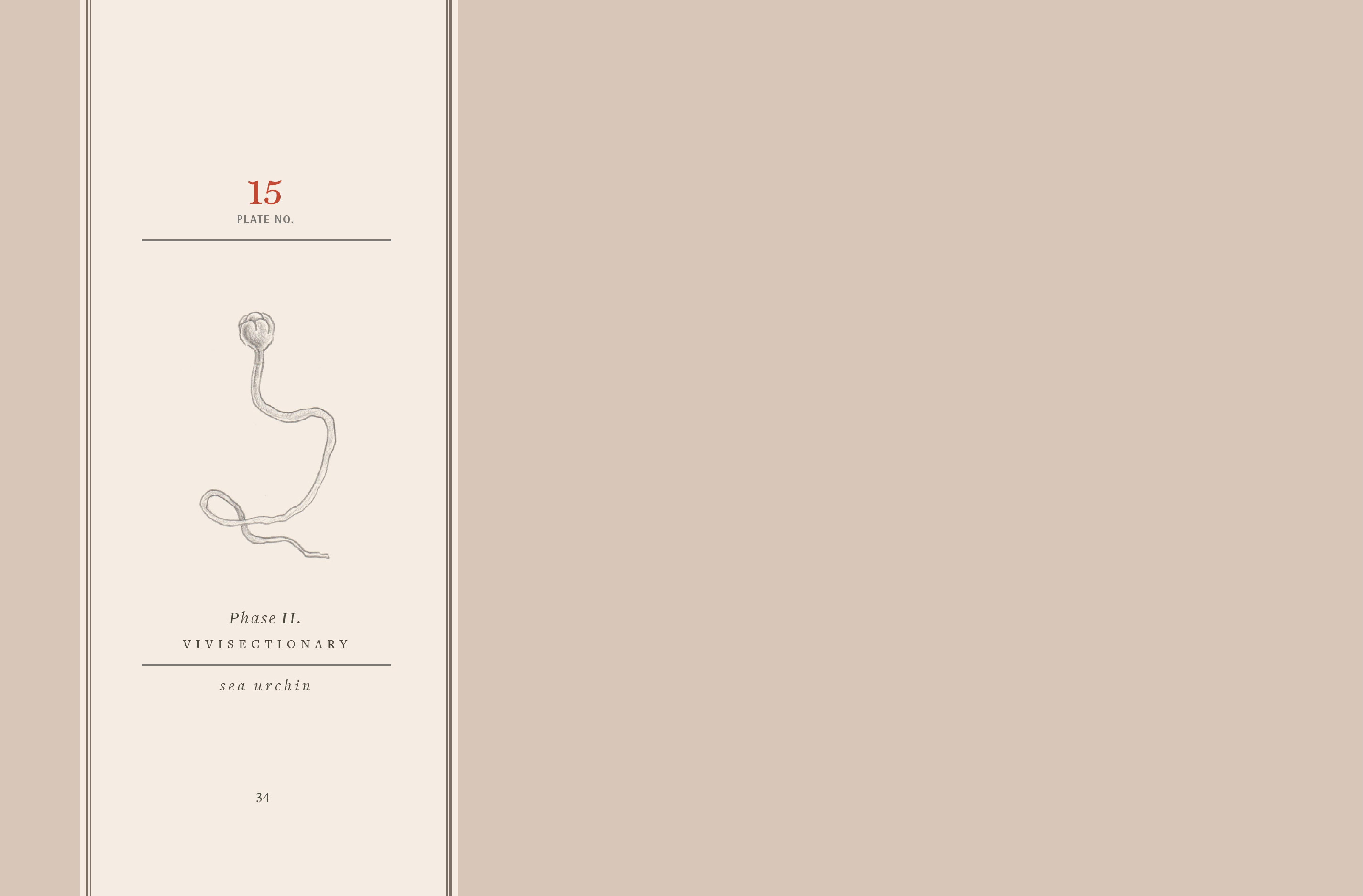 Read online Vivisectionary comic -  Issue # TPB - 35