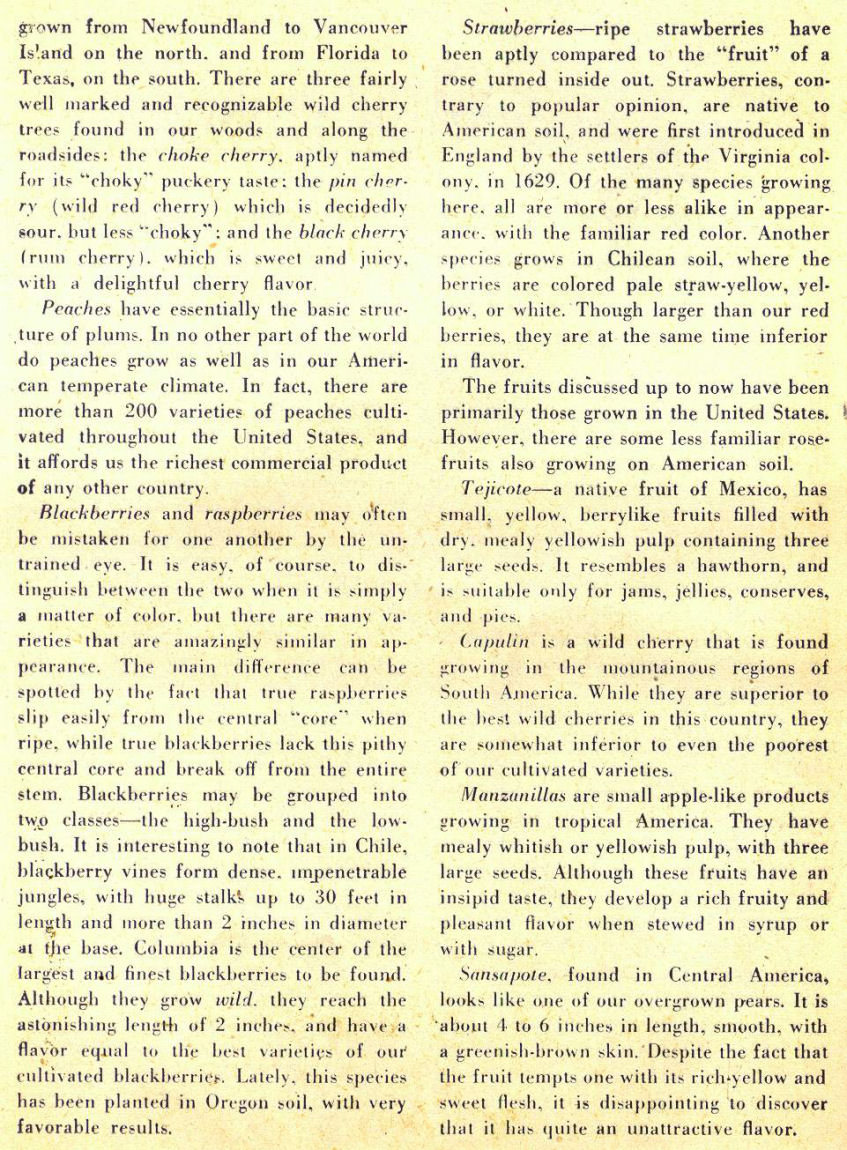 Read online Sensation (Mystery) Comics comic -  Issue #98 - 36