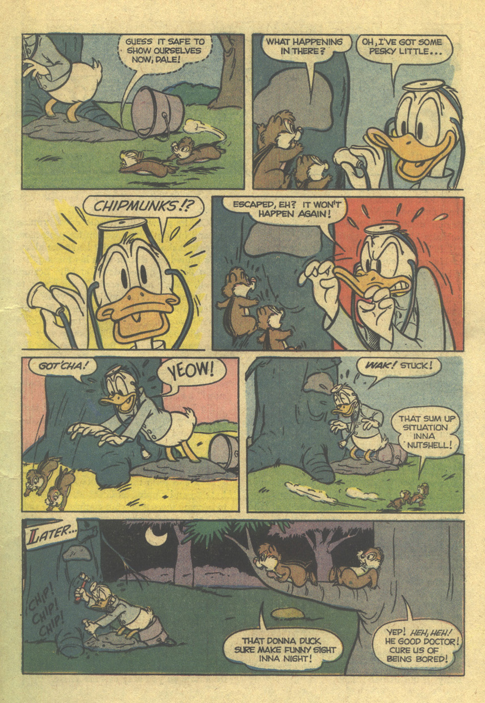 Read online Walt Disney Chip 'n' Dale comic -  Issue #17 - 11
