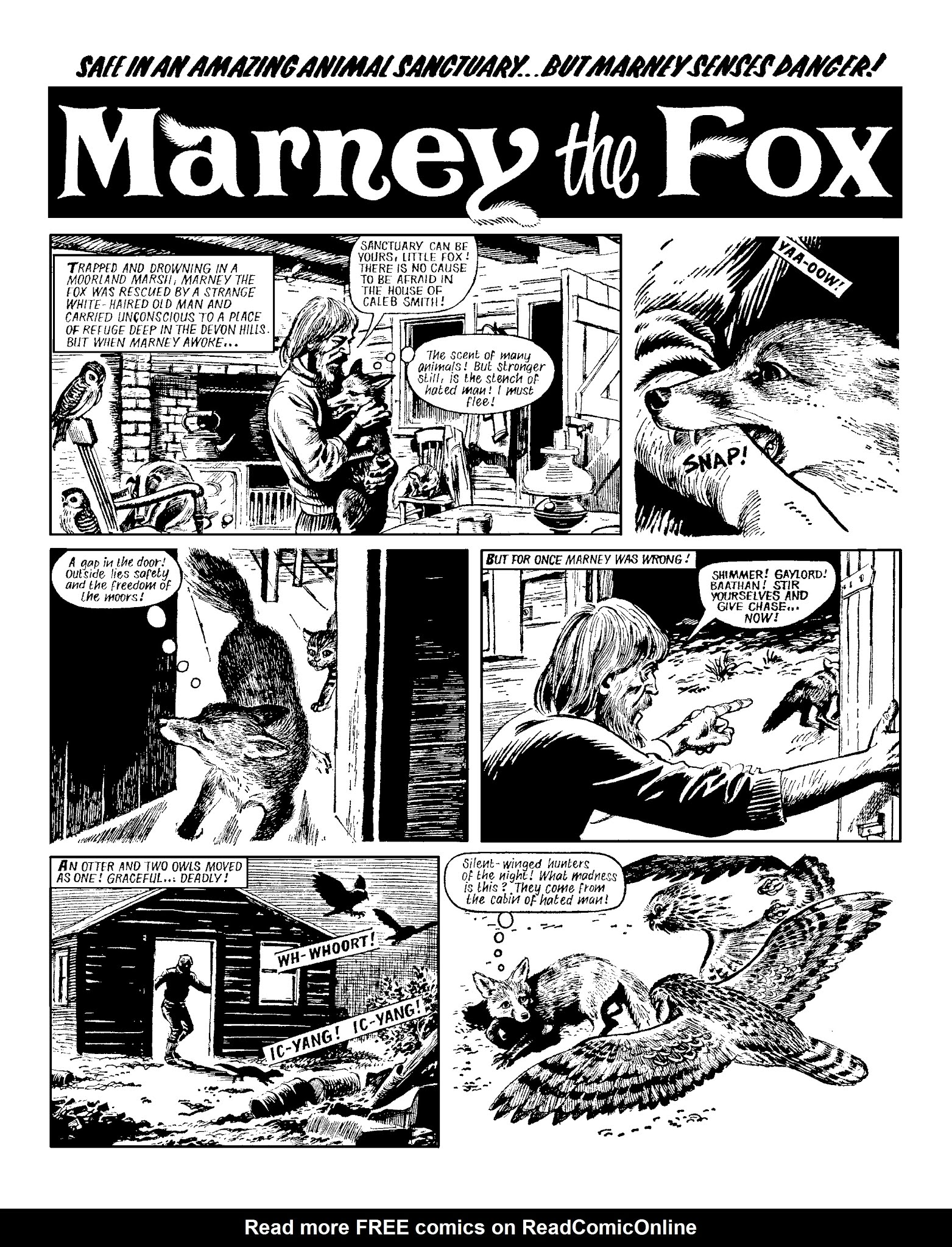 Read online Marney the Fox comic -  Issue # TPB (Part 2) - 102