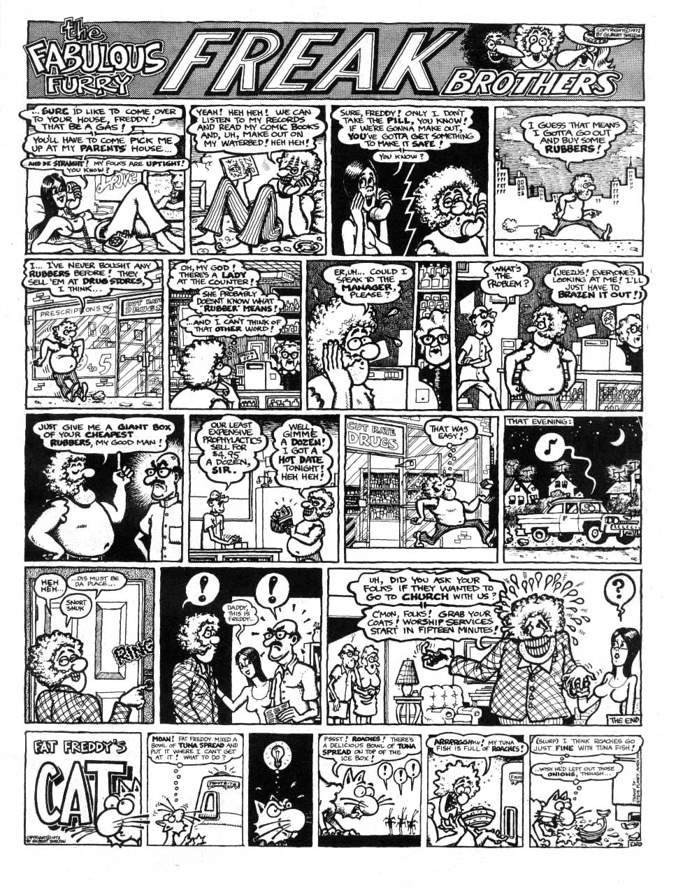 Read online The Fabulous Furry Freak Brothers comic -  Issue #2 - 17