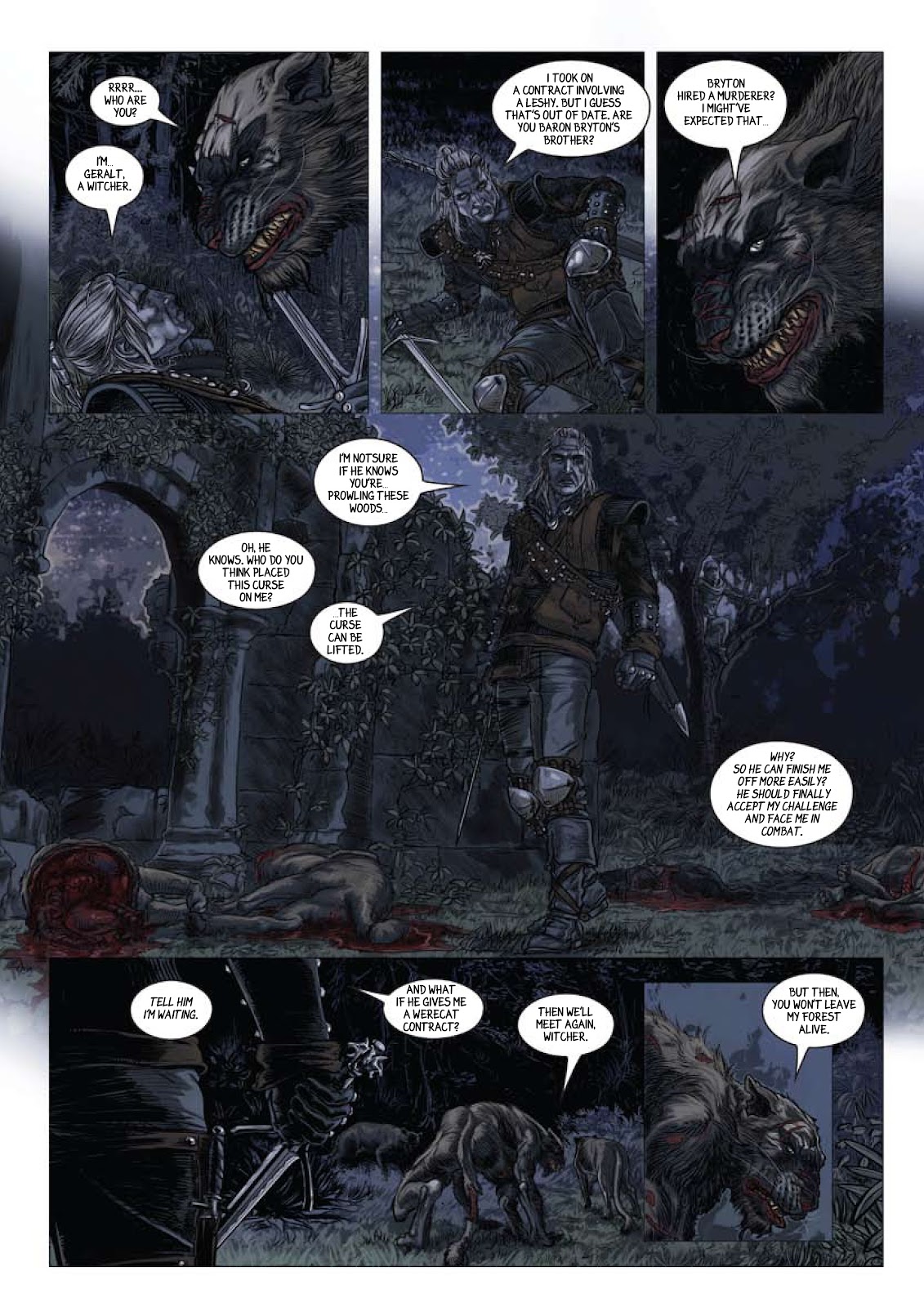 The Witcher: Reasons of State issue Full - Page 24
