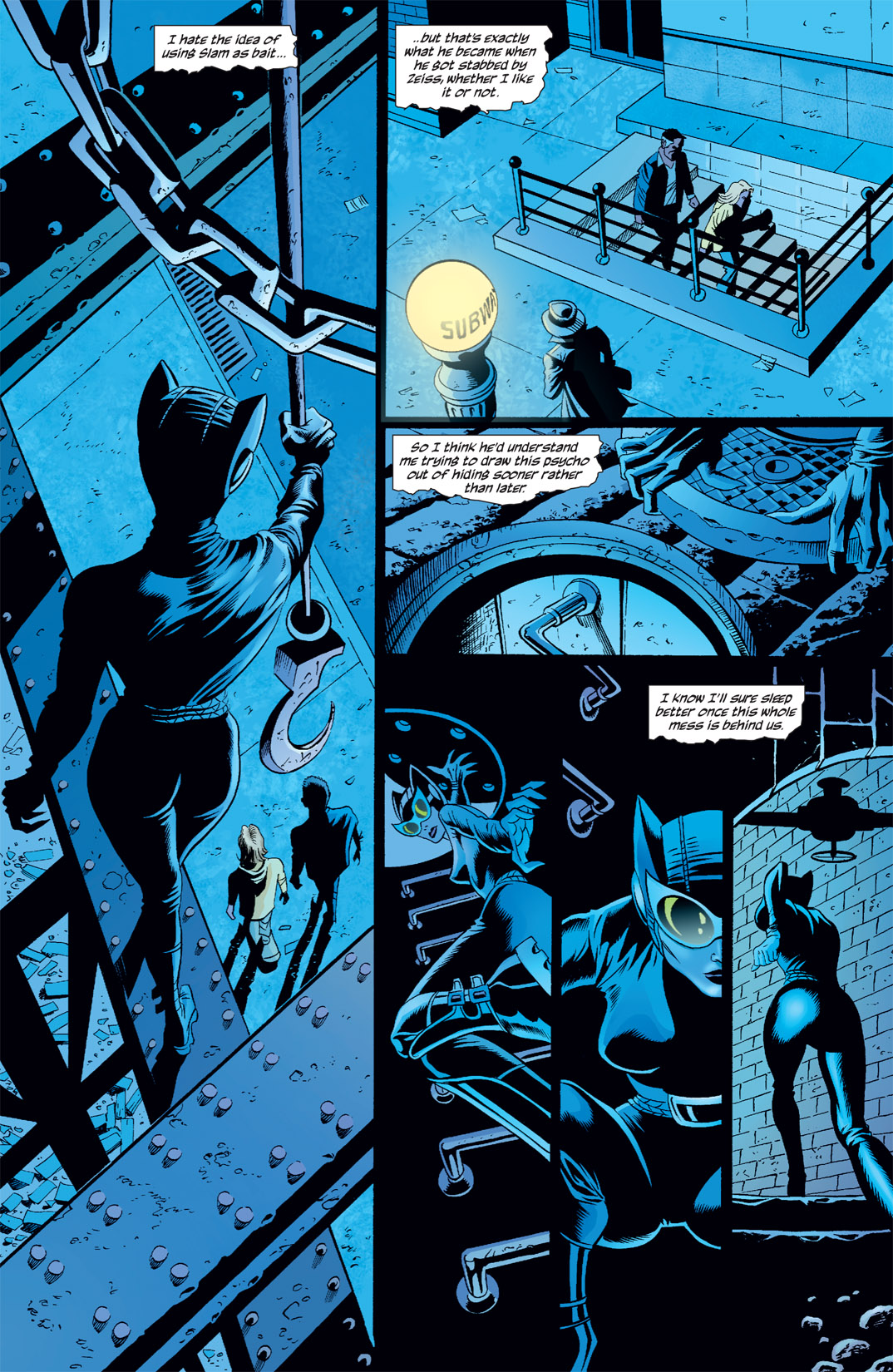 Read online Catwoman (2002) comic -  Issue #28 - 13