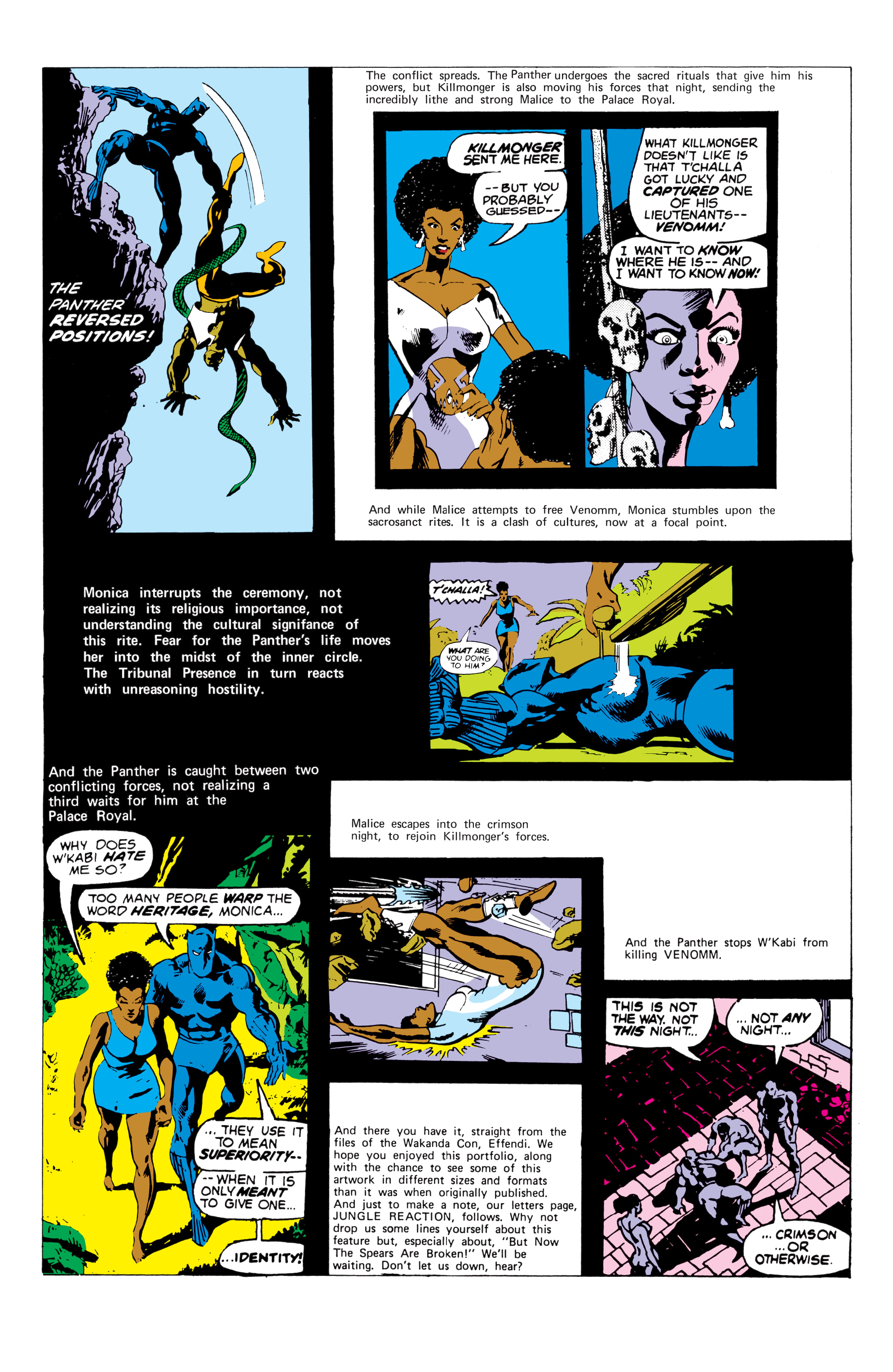 Read online Black Panther: The Early Years Omnibus comic -  Issue # TPB (Part 6) - 24