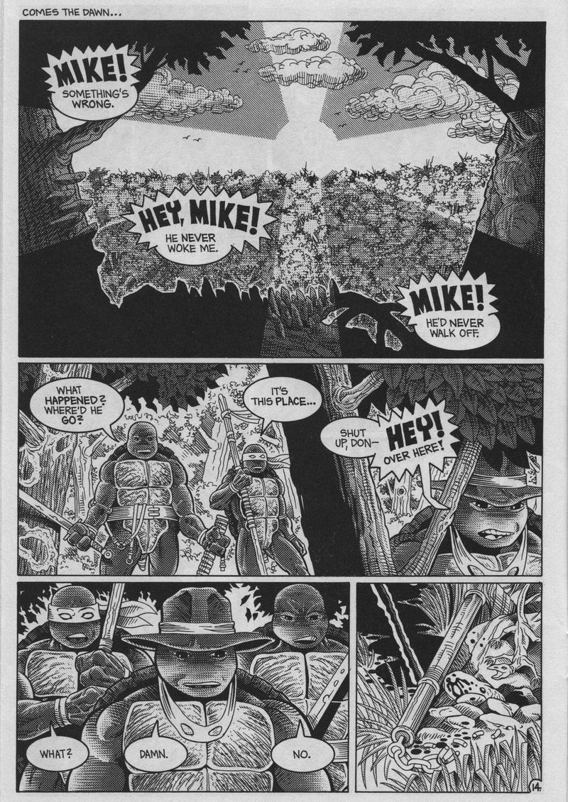 Teenage Mutant Ninja Turtles (1984) Issue #37 #37 - English 14